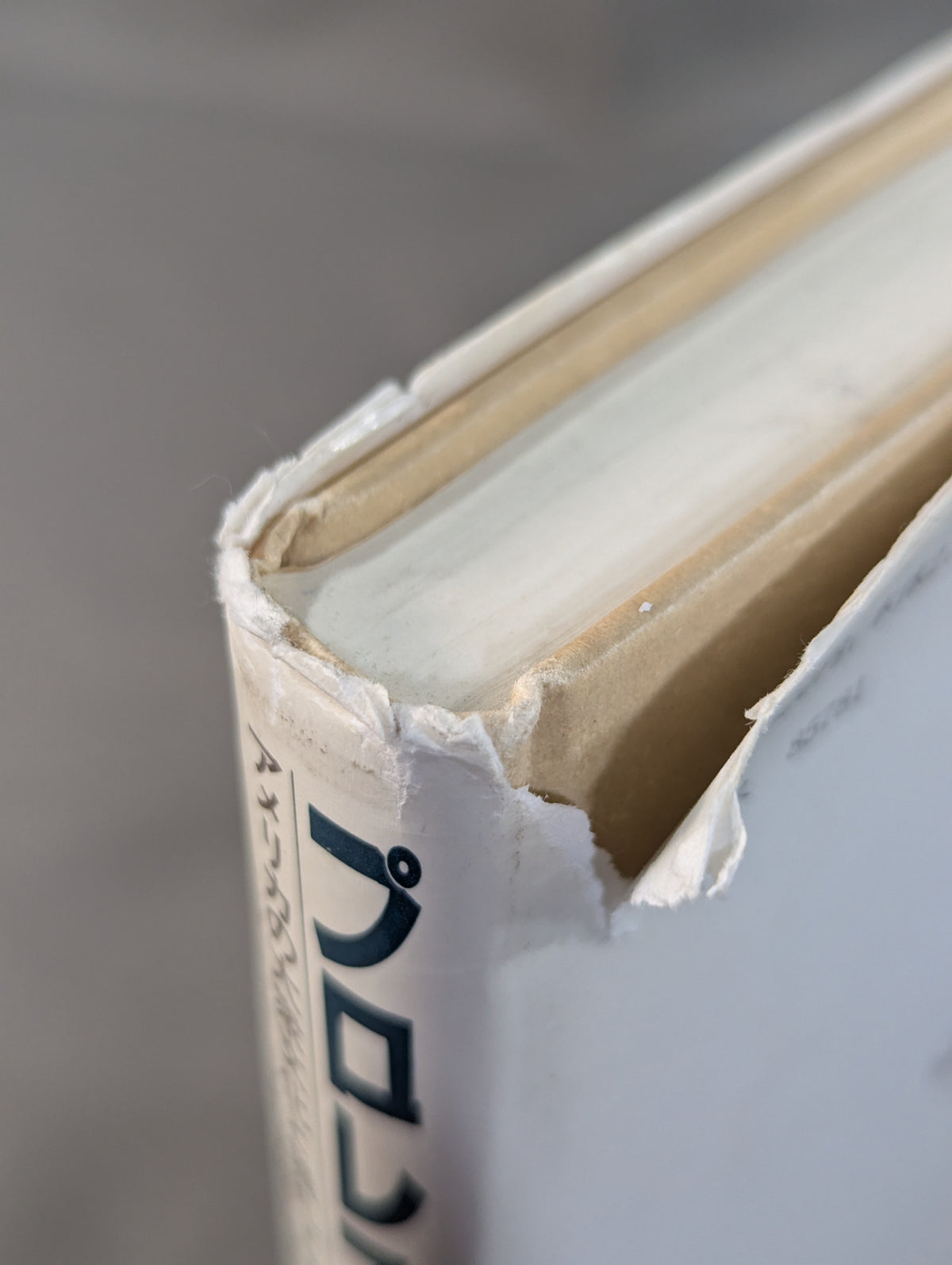 プロレス社会学 アメリカの大衆文化と儀礼ドラマ