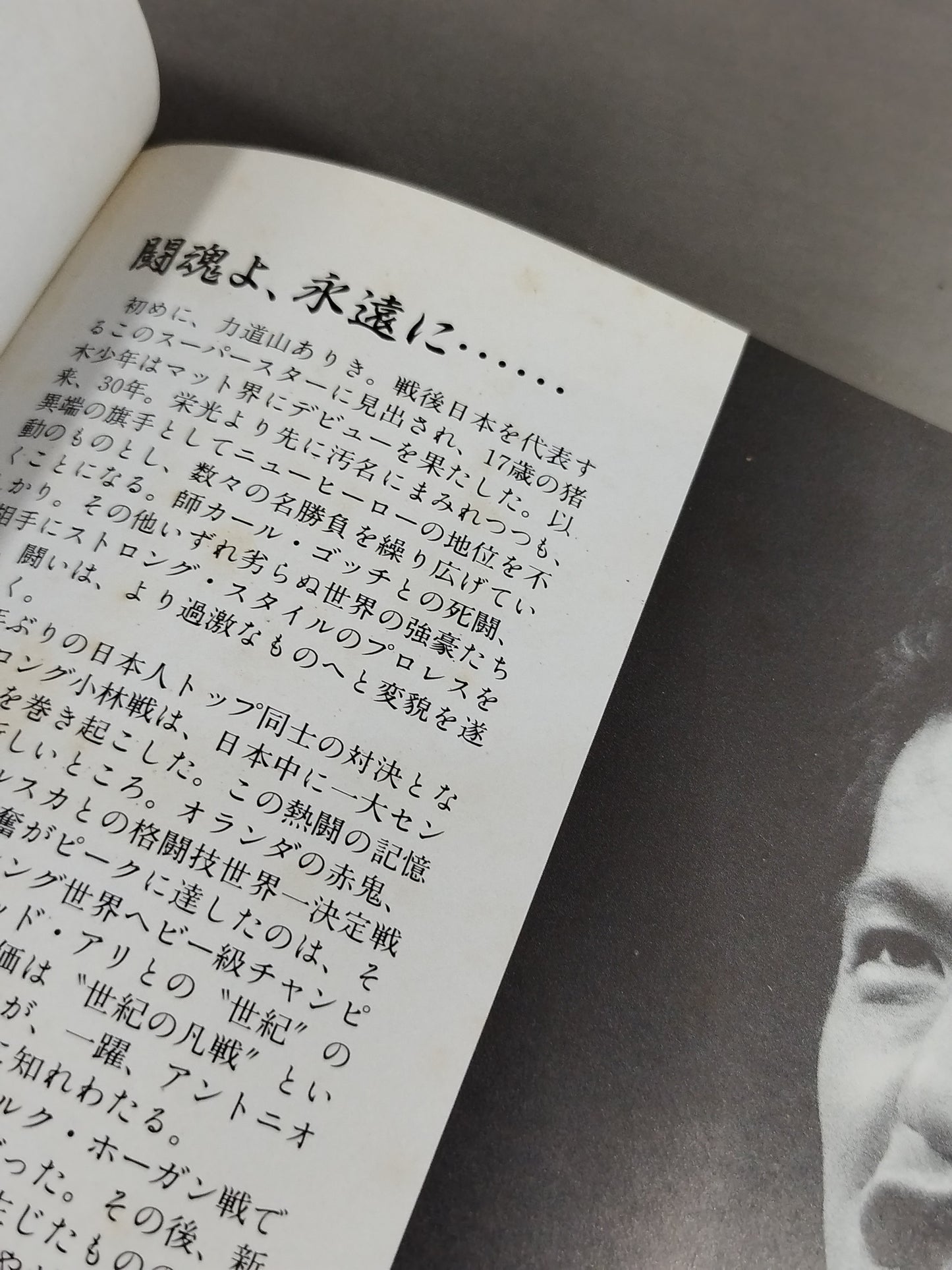 Fighting Spirit Burning Antonio Inoki 30th Anniversary Photo Collection