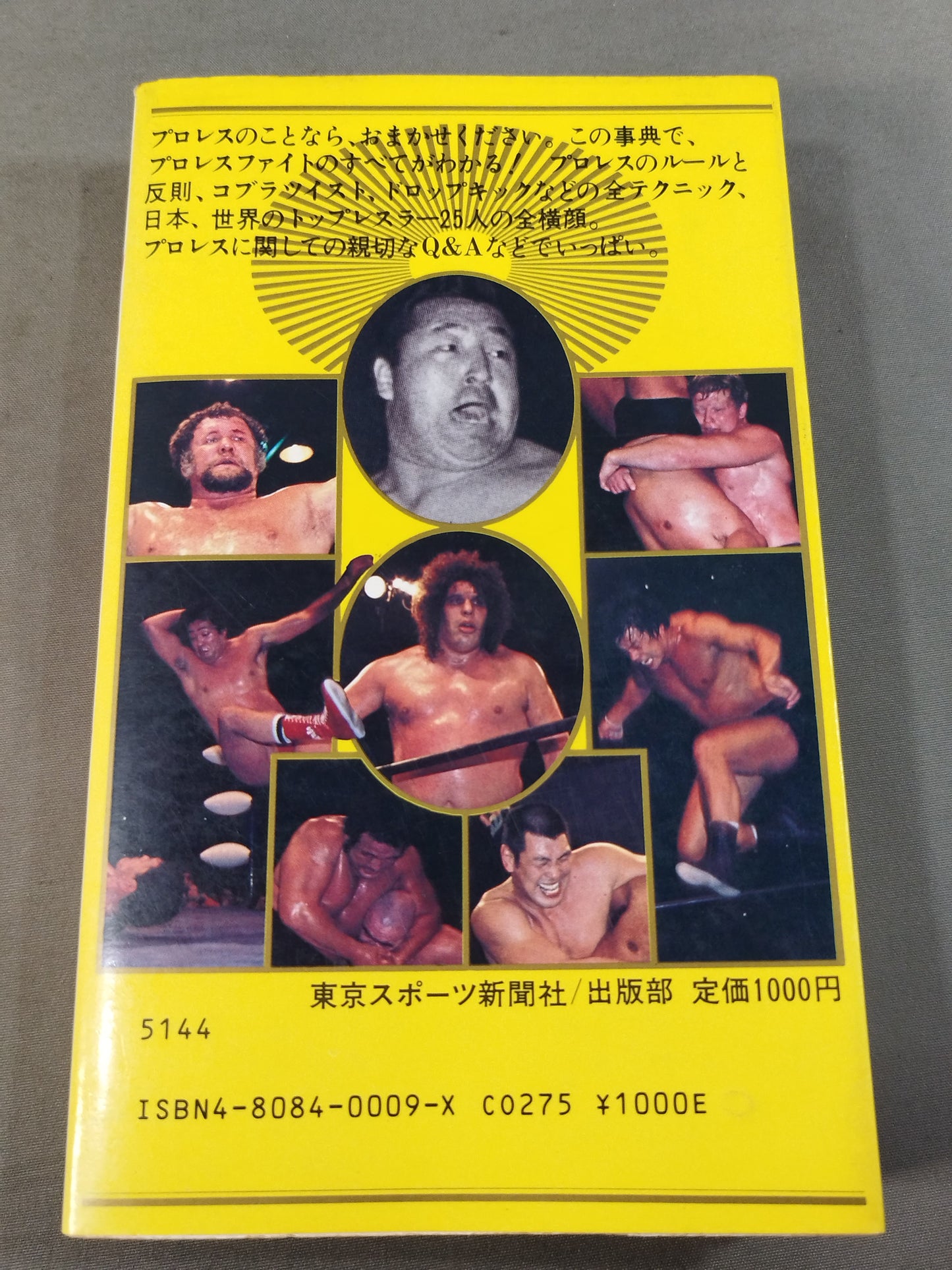 Revised Pro Wrestling Encyclopedia
