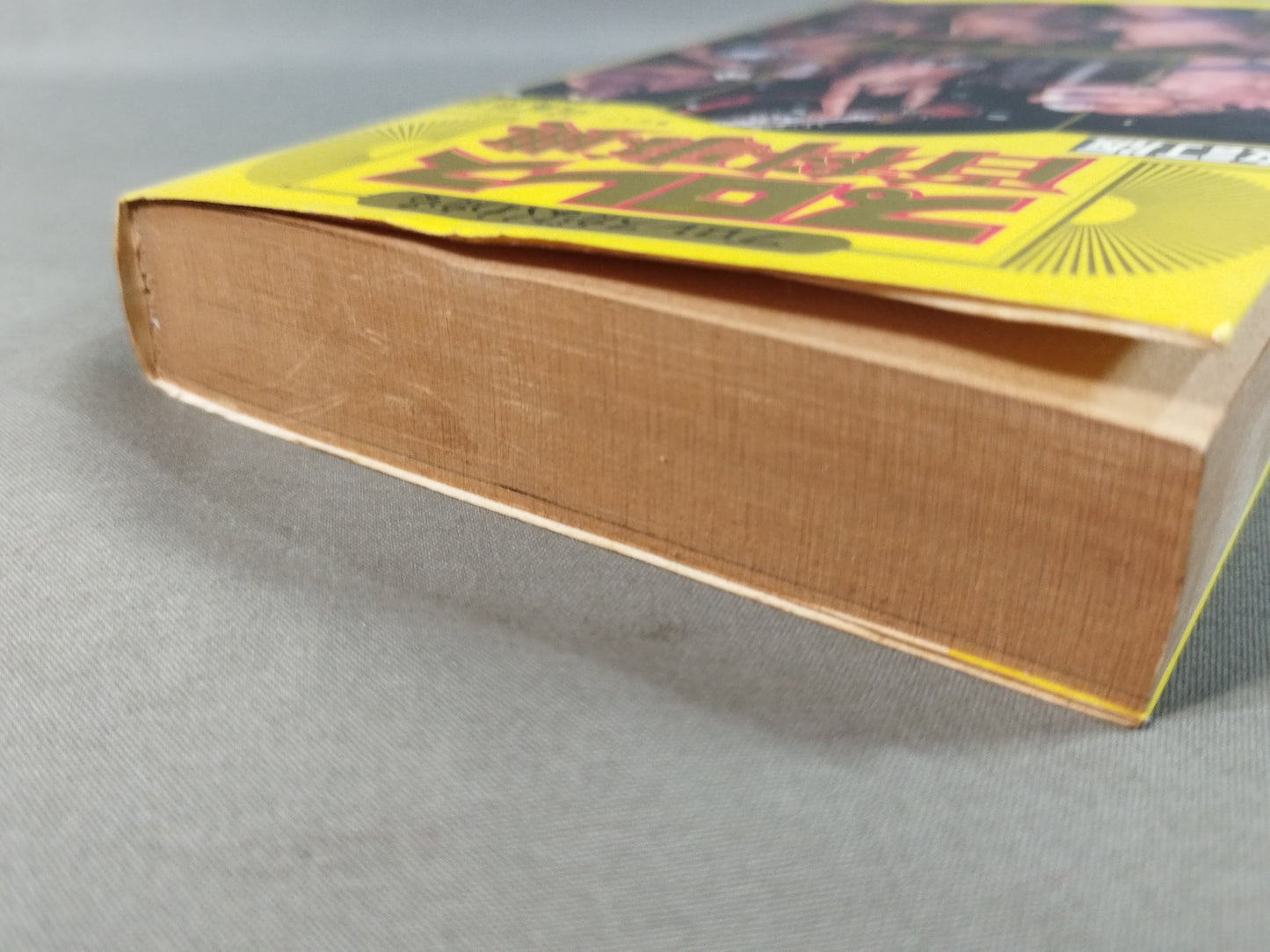 Revised Pro Wrestling Encyclopedia