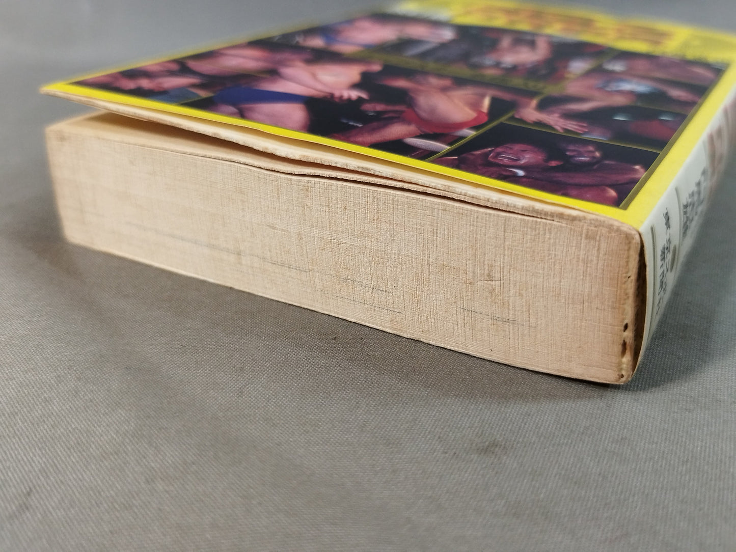 Revised Pro Wrestling Encyclopedia
