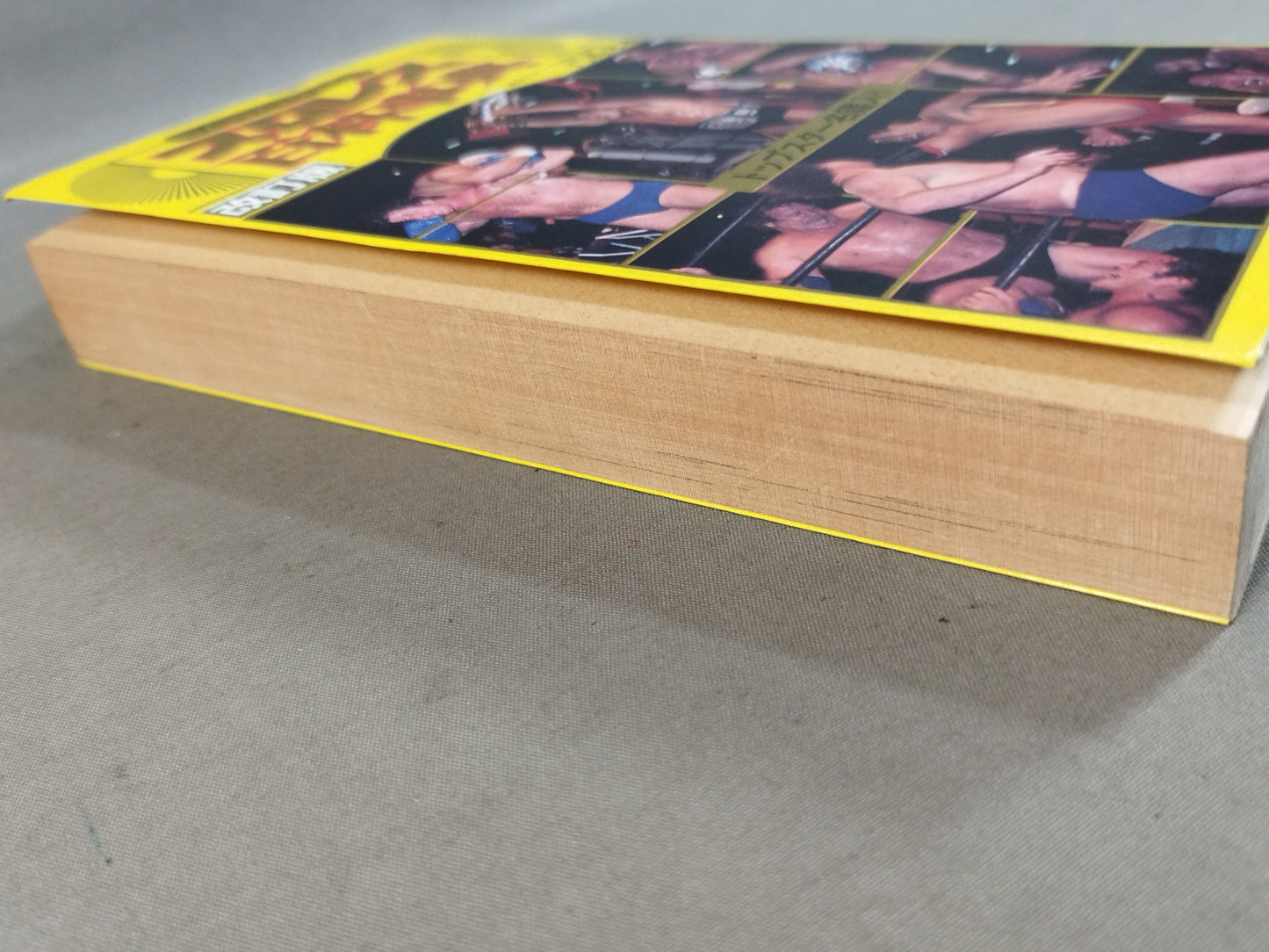 Revised Pro Wrestling Encyclopedia