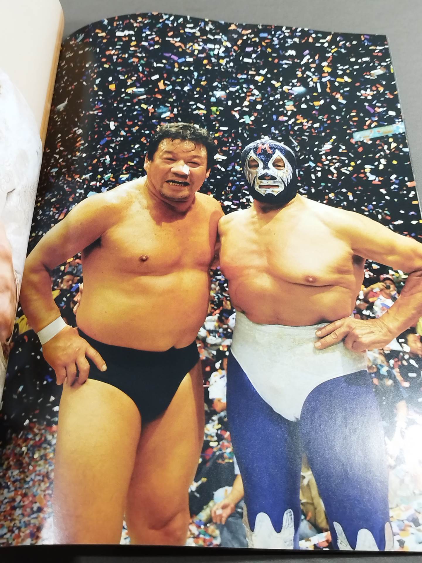 【ミル・マスカラス&藤波辰爾 直筆サイン入り】FOTOLIBRE de Mascara Numero.66