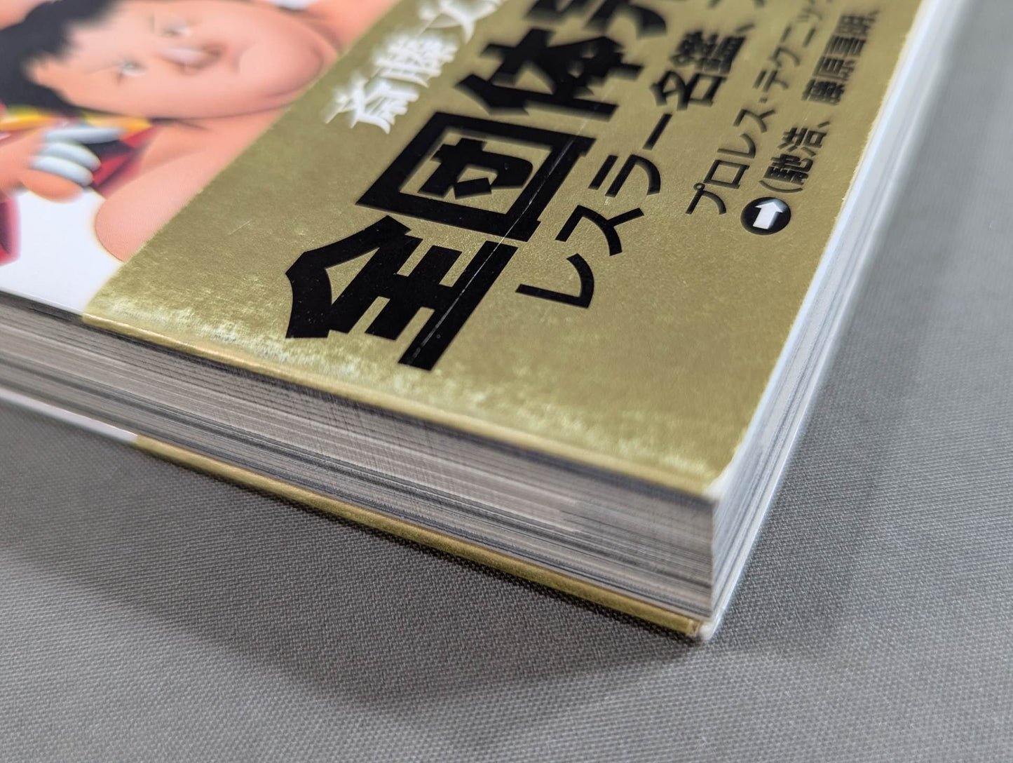 Pro Wrestling Encyclopedia