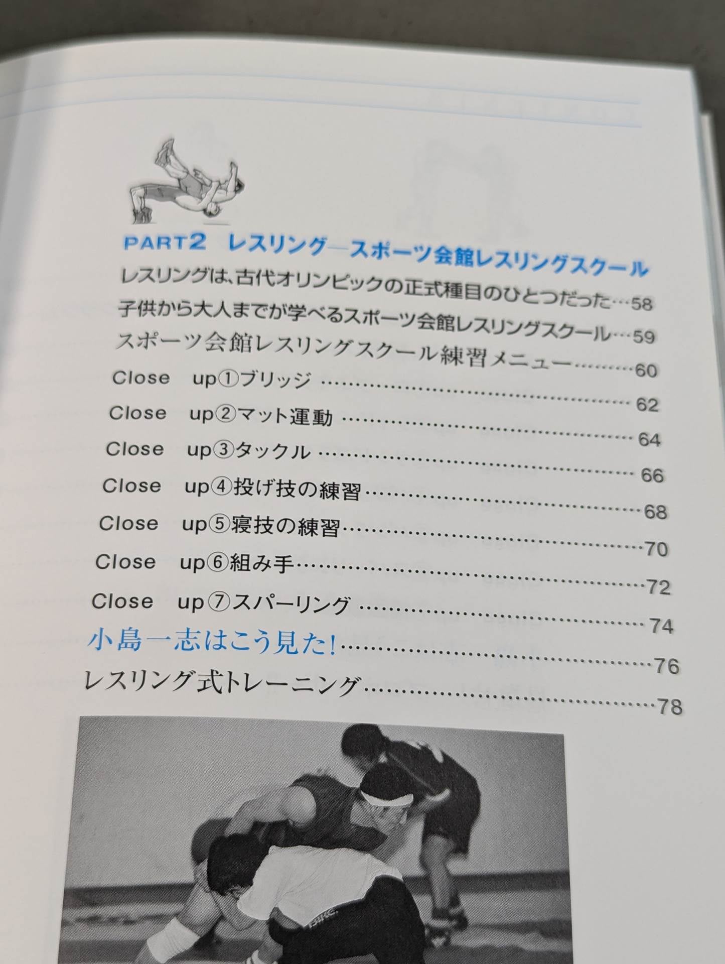 Martial arts general training (Ashihara KARATE, wrestling, boxing, Brazilian jiu-jitsu, kickboxing, aikido, SAW)