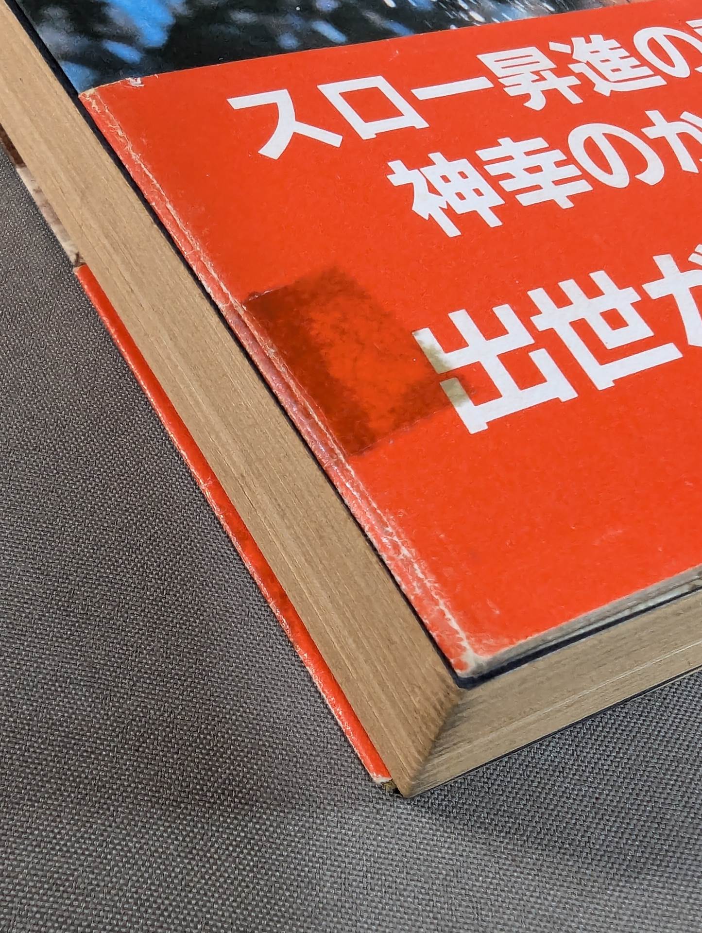 【Hand signed autograph】【Hand signed autograph】 no tari ban outing world Salty sumo wrestling crying laughter...