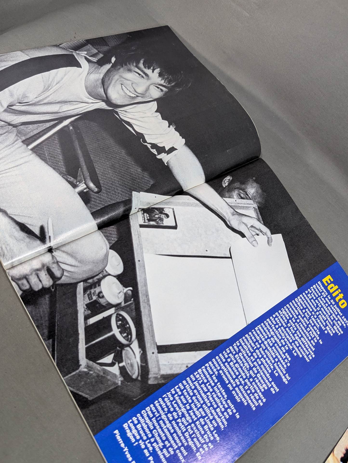BRUCE LEE NUMERO COLLECTION:Les dossiers de KARATE bushido