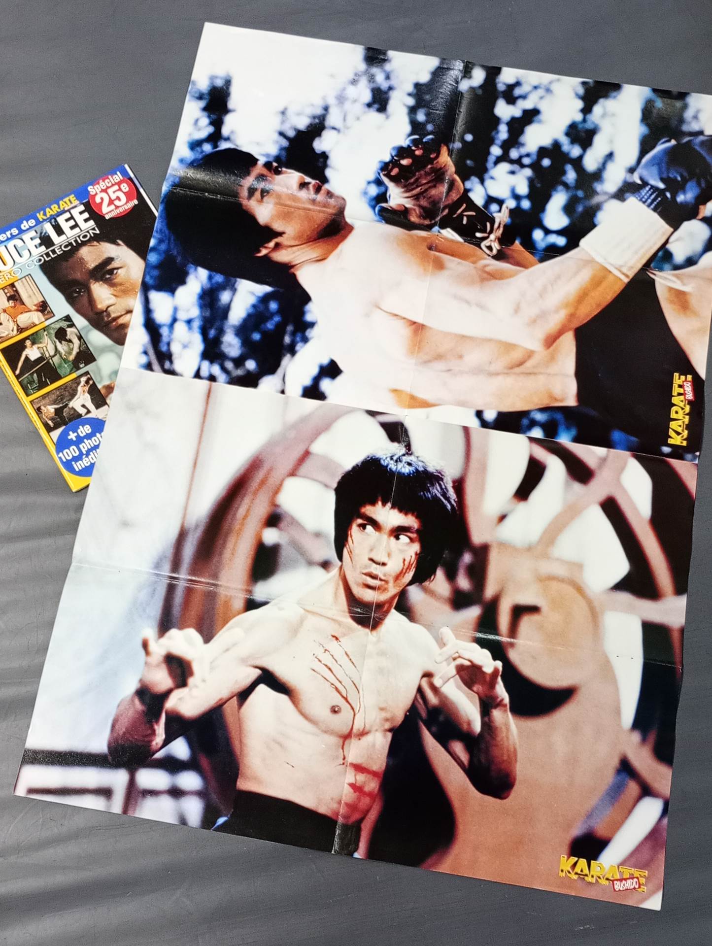 BRUCE LEE NUMERO COLLECTION:Les dossiers de KARATE bushido