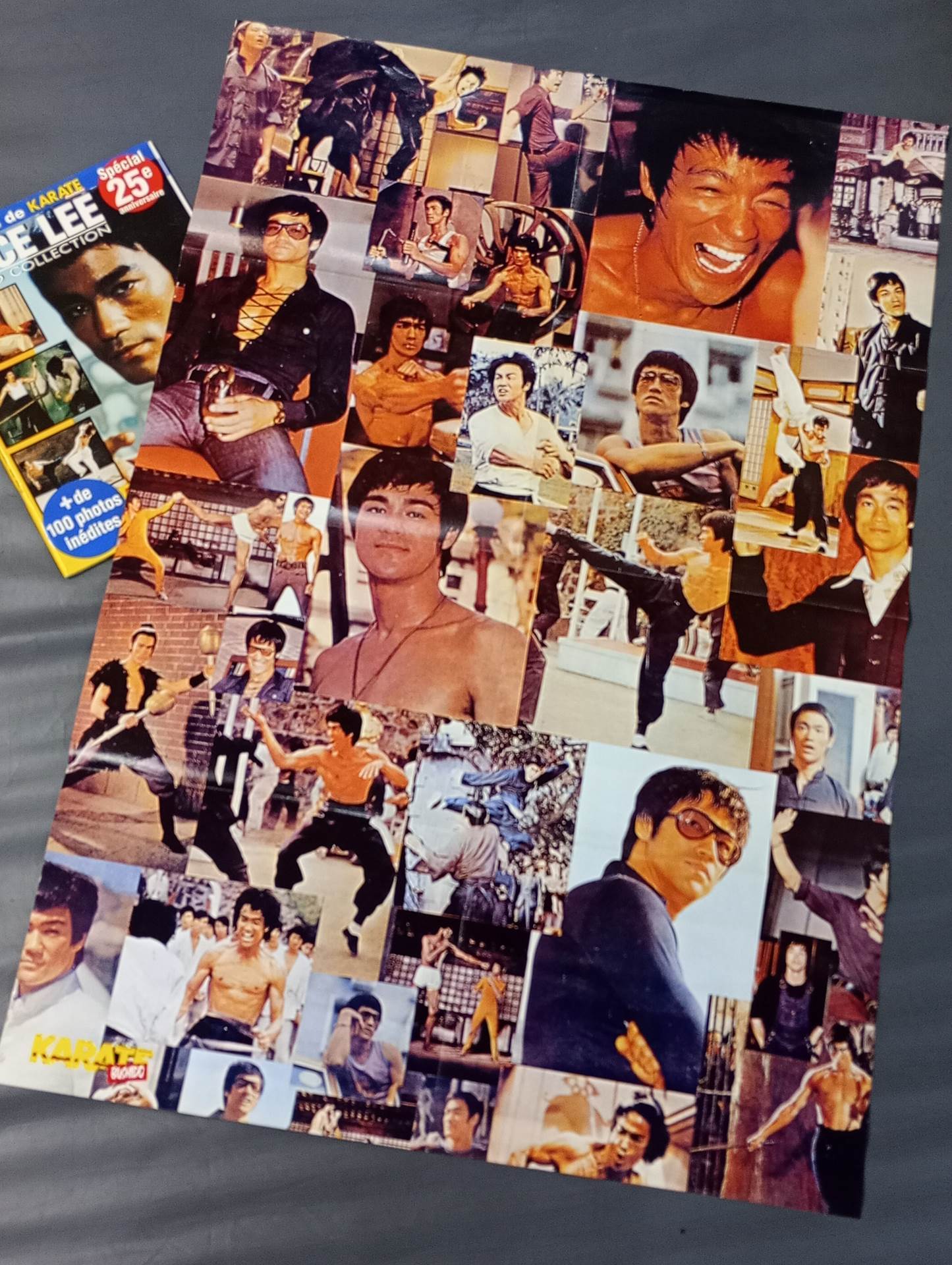 BRUCE LEE NUMERO COLLECTION:Les dossiers de KARATE bushido