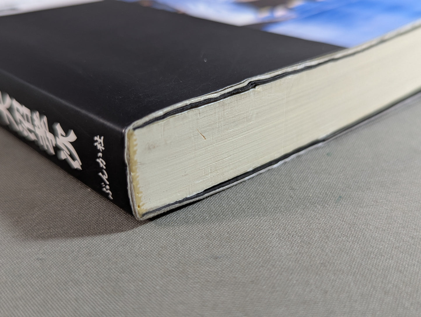 極真空手 猛者たちの挑戦