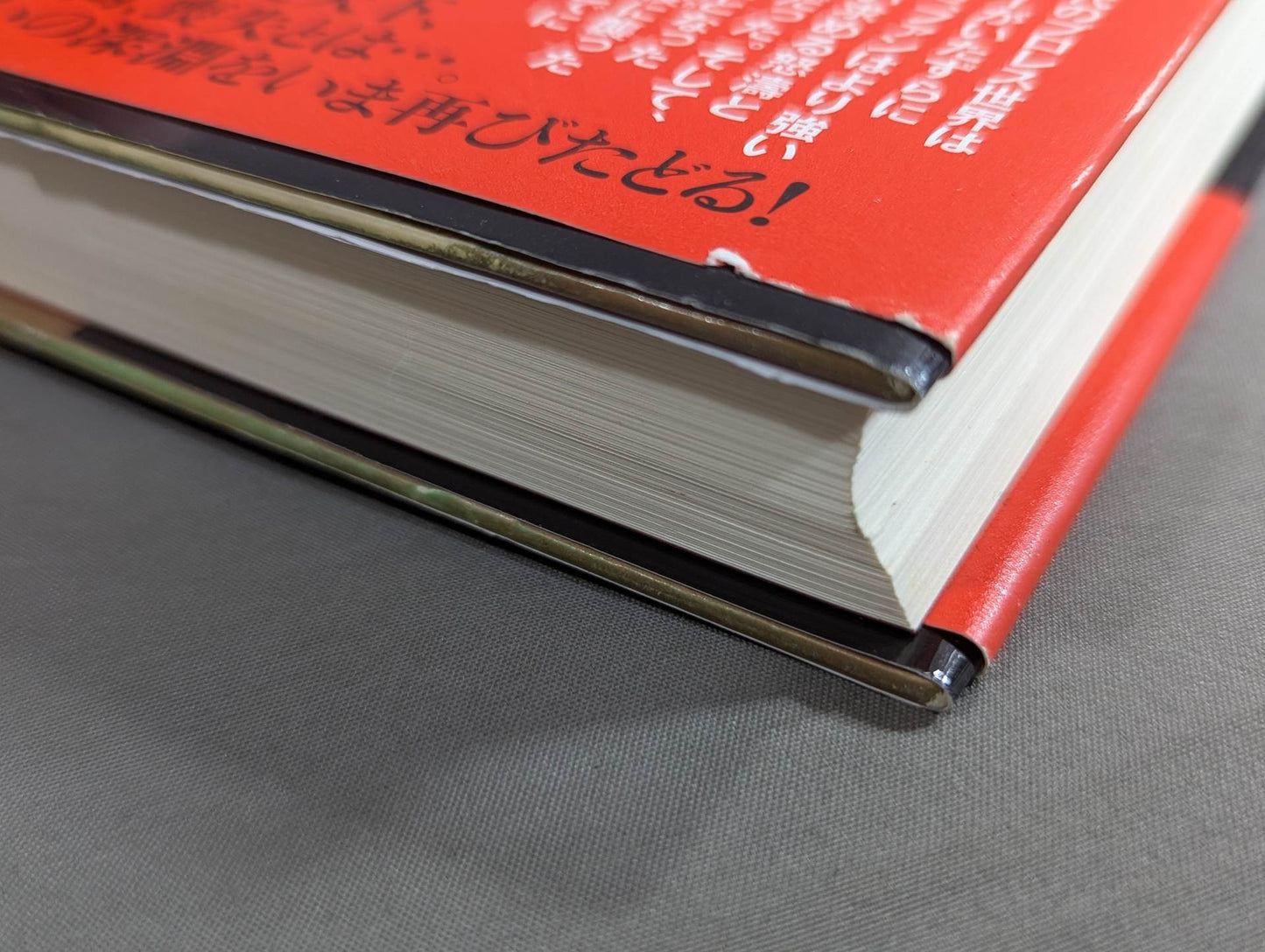 Why did Misawa and Hashimoto have to die?