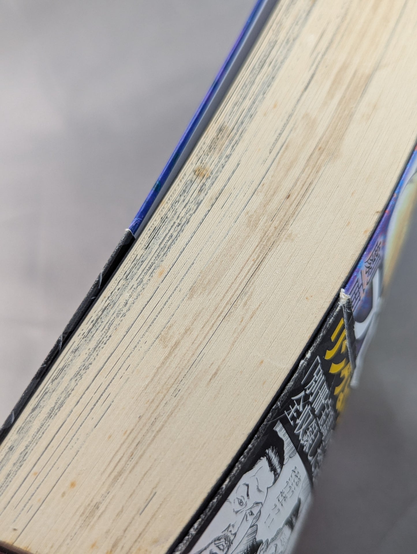 Pro Wrestling Hell Hentai