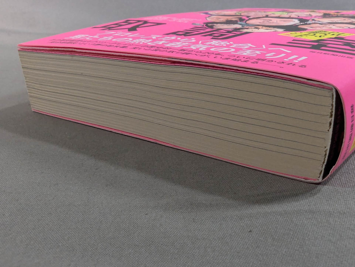 Gale Furious!! Pro Wrestling Interrogation Room UWF & PRIDE Fighting Romance