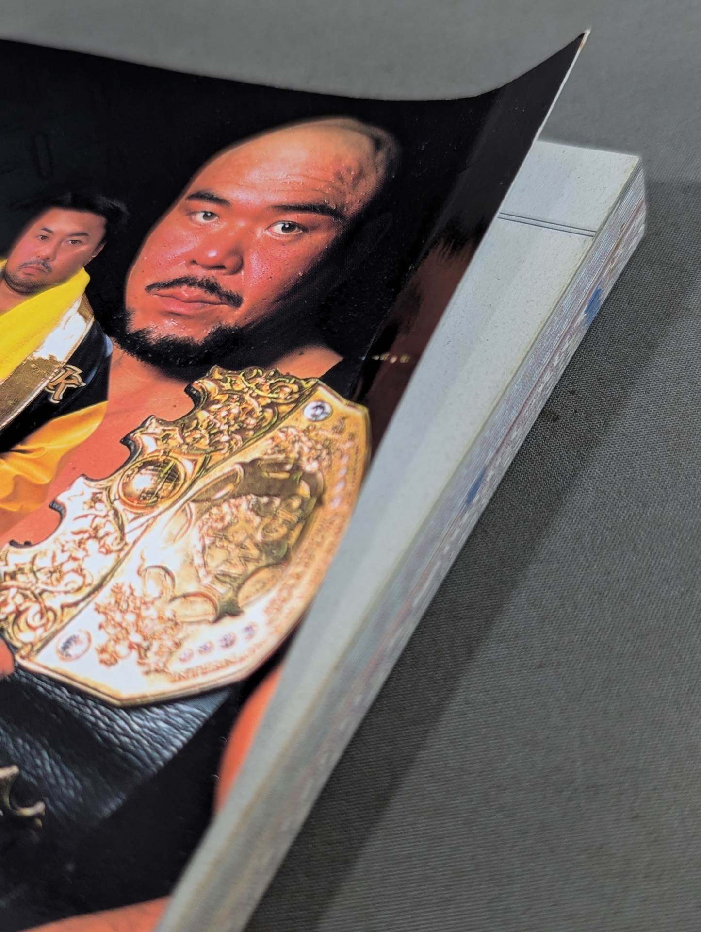 2002ゴング プロレス名鑑