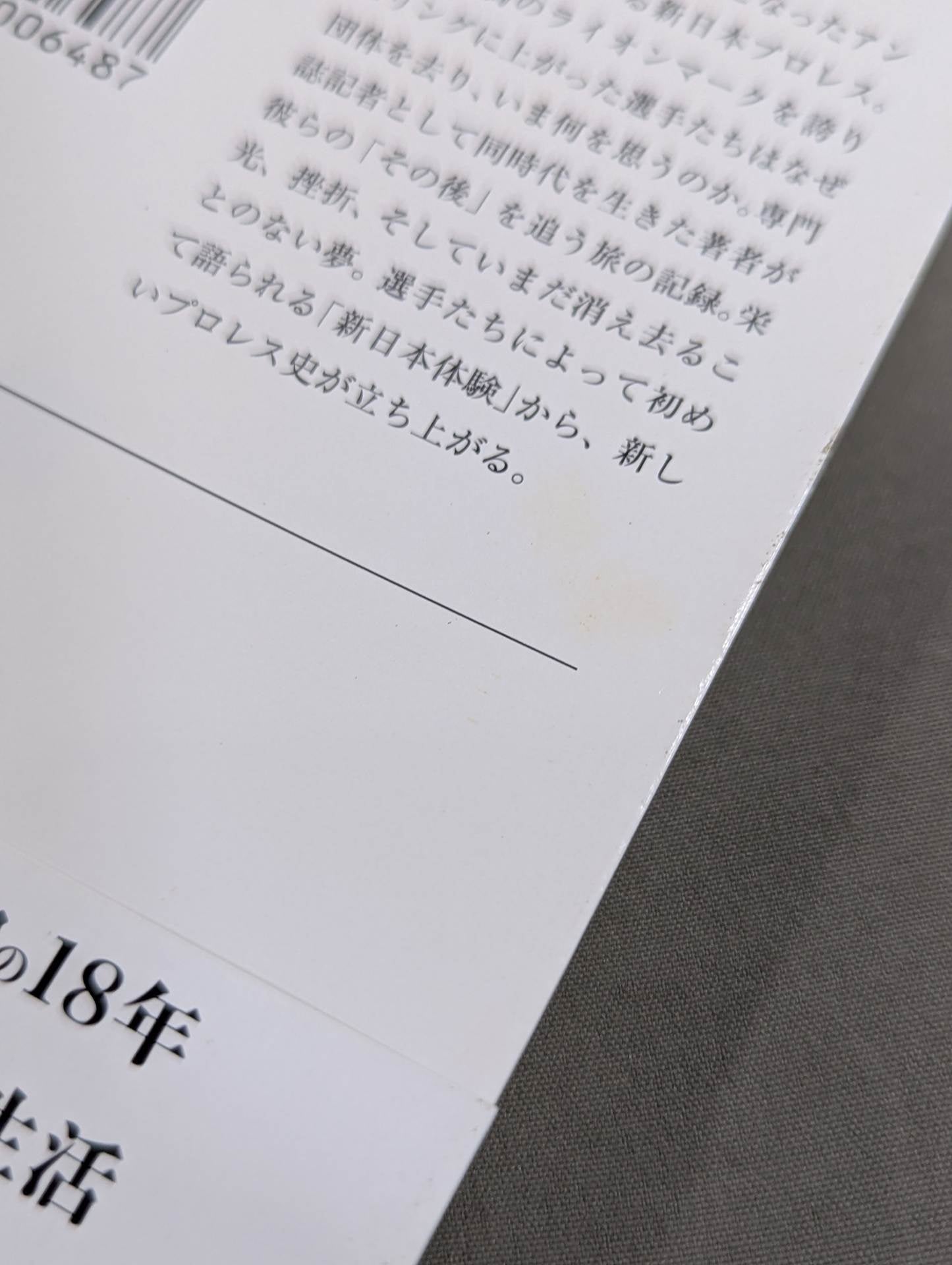 Former New Japan Pro Wrestling "Ring of Life"