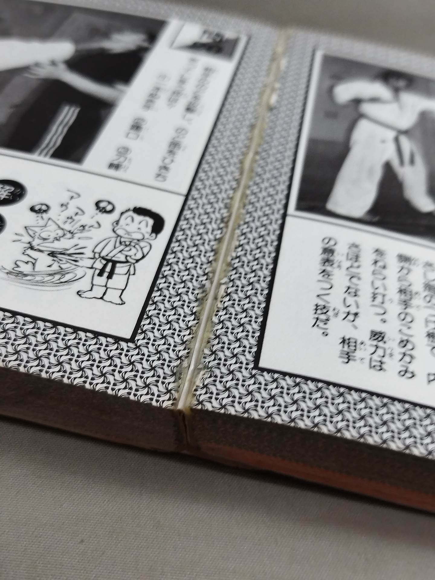 Monogashiri Quiz Encyclopedia (3) Kodansha Pocket Encyclopedia Series 13