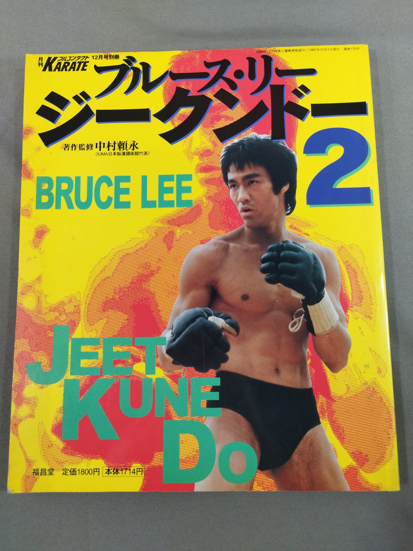 ブルース・リー ジークンドー2