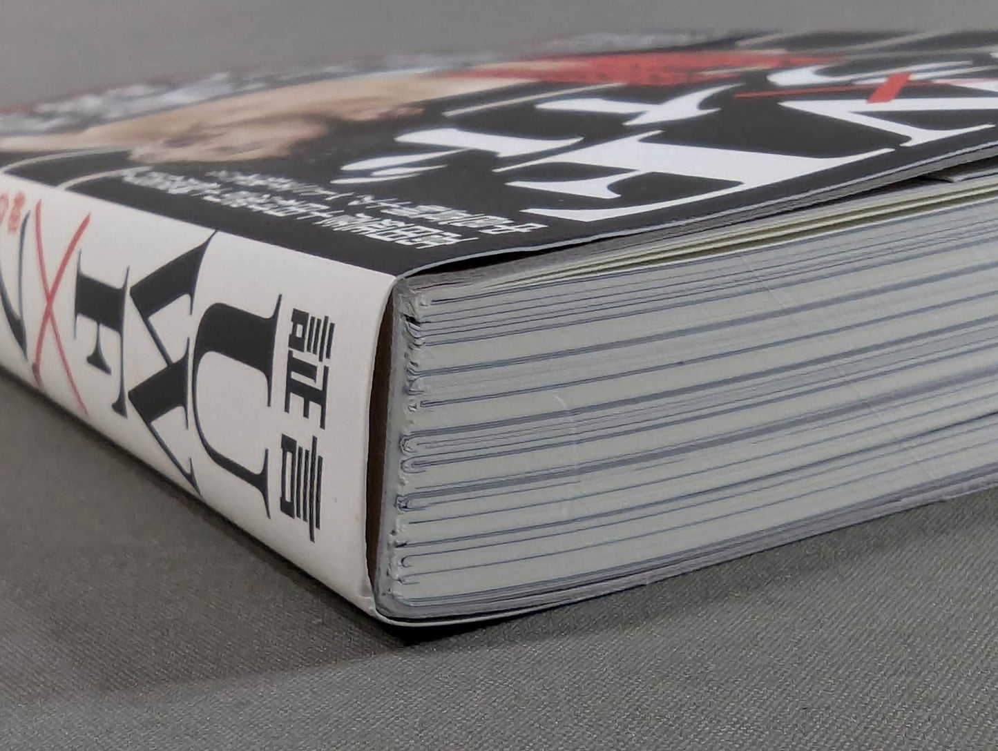 Testimony UWF×Pride The secret story of the pro wrestler 's desperate struggle in mixed martial arts