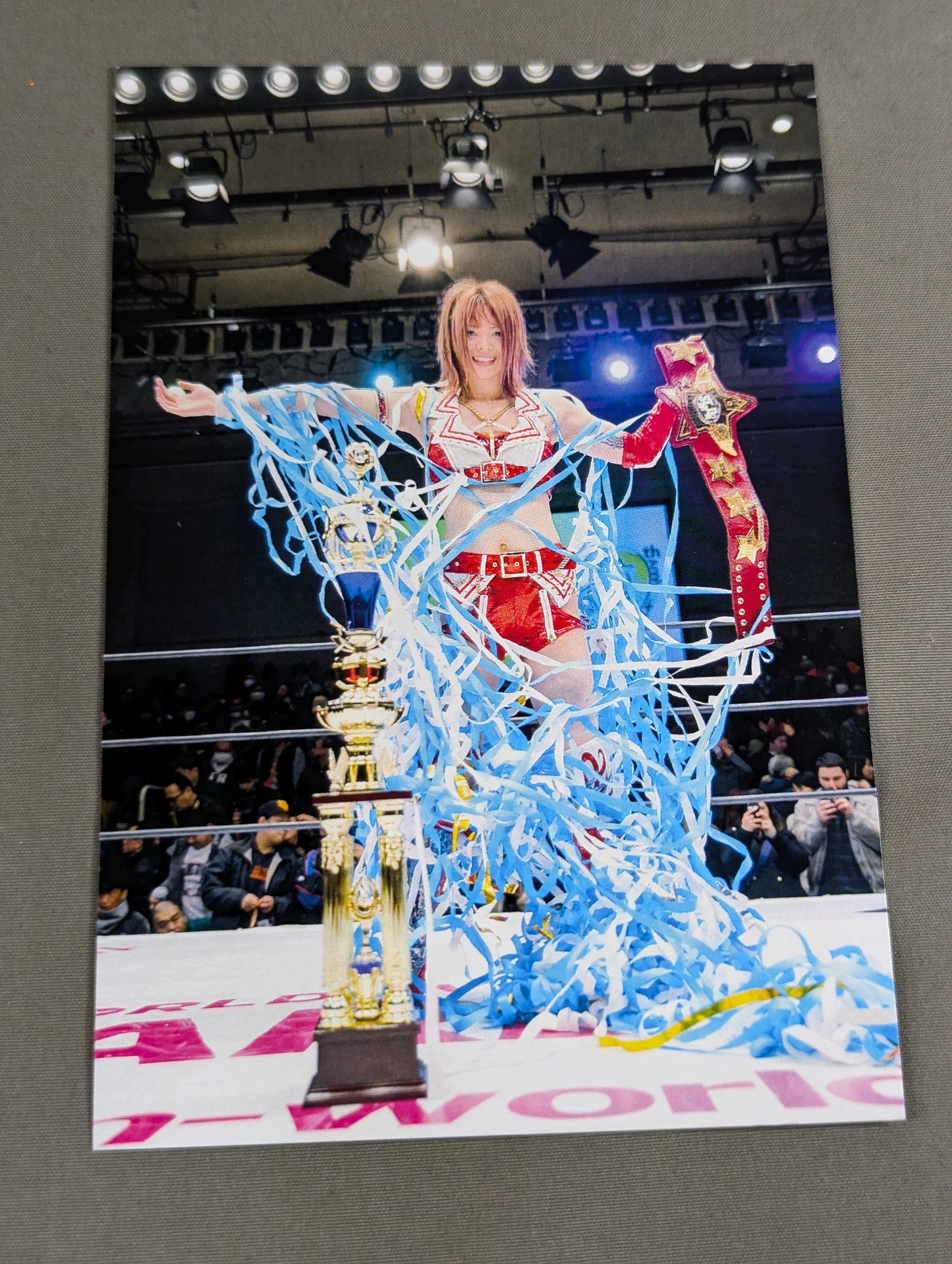 【直筆サイン&購入特典付】引きこもりでポンコツだった私が女子プロレスのアイコンになるまで