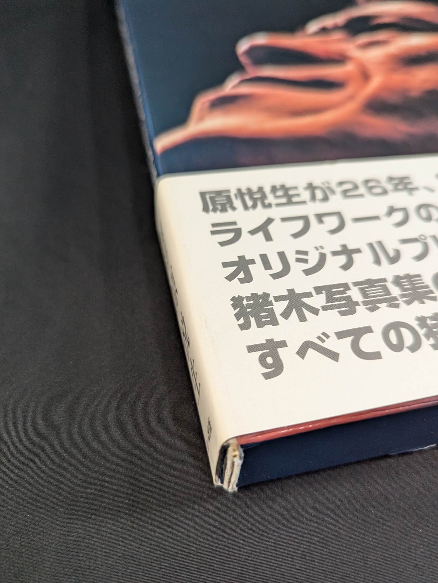 【直筆サイン入り】INOKI アントニオ猪木引退記念公式写真集