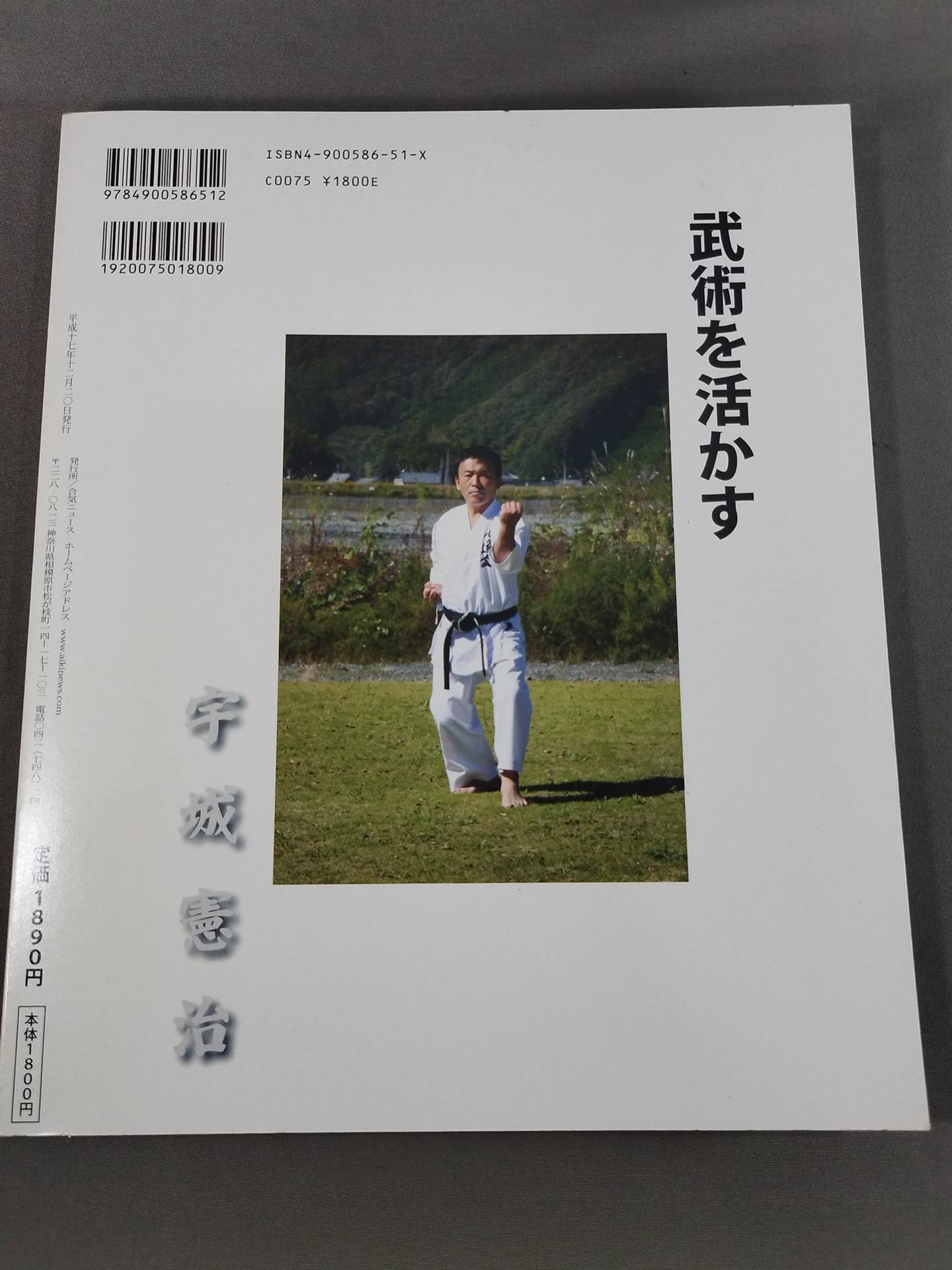 武術を活かす 型で全てが解ける!
