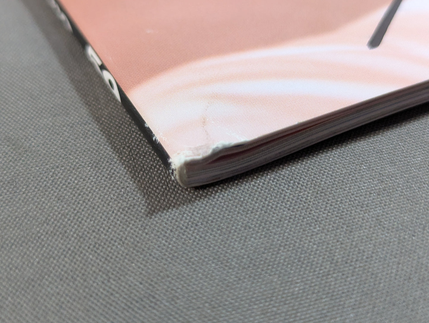【紫雷イオ&IOTICA(イオティカ) 直筆サイン入り】FOTOLIBRE de Mascaras +Plus Numero.59
