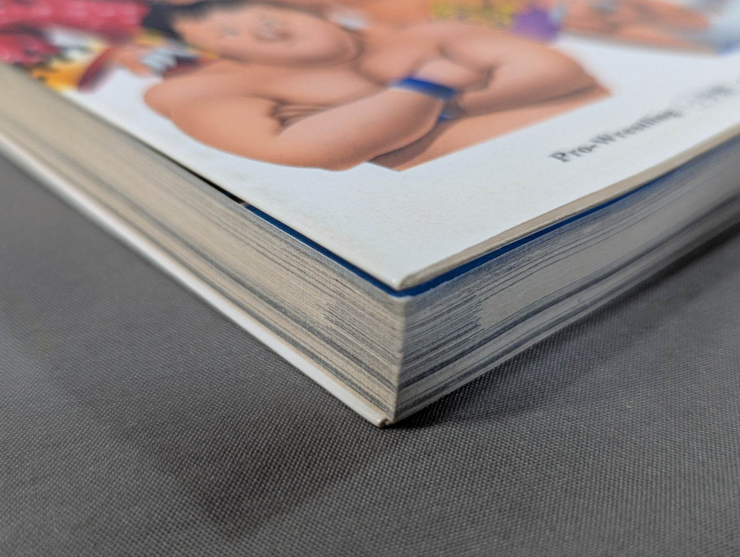 Pro Wrestling Encyclopedia
