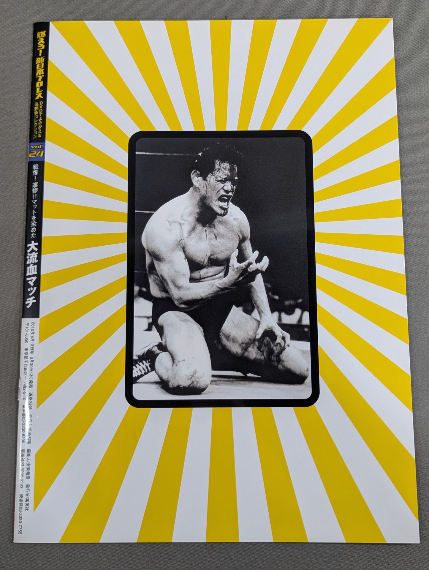 燃えろ!新日本プロレス vol.24