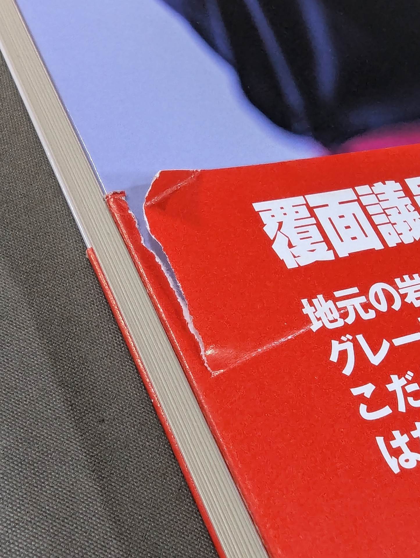岩手発、未来へ -覆面議員サスケ参上-