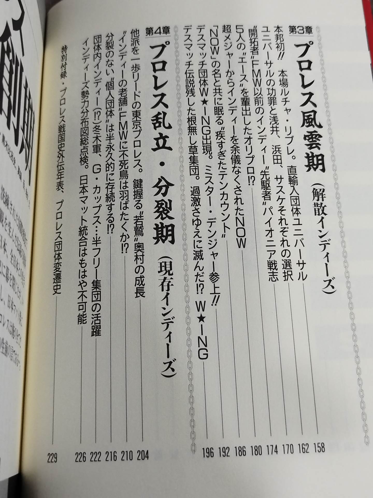 プロレス戦国史 仁義なき戦い