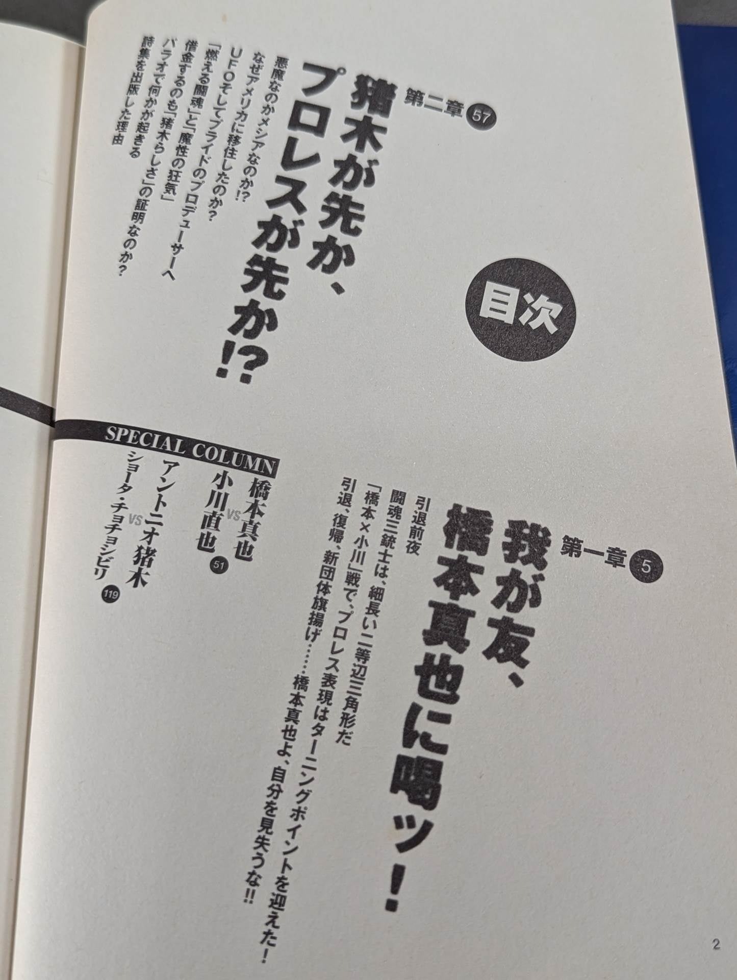 プロレス裏実況 何が起こってもおかしくない!