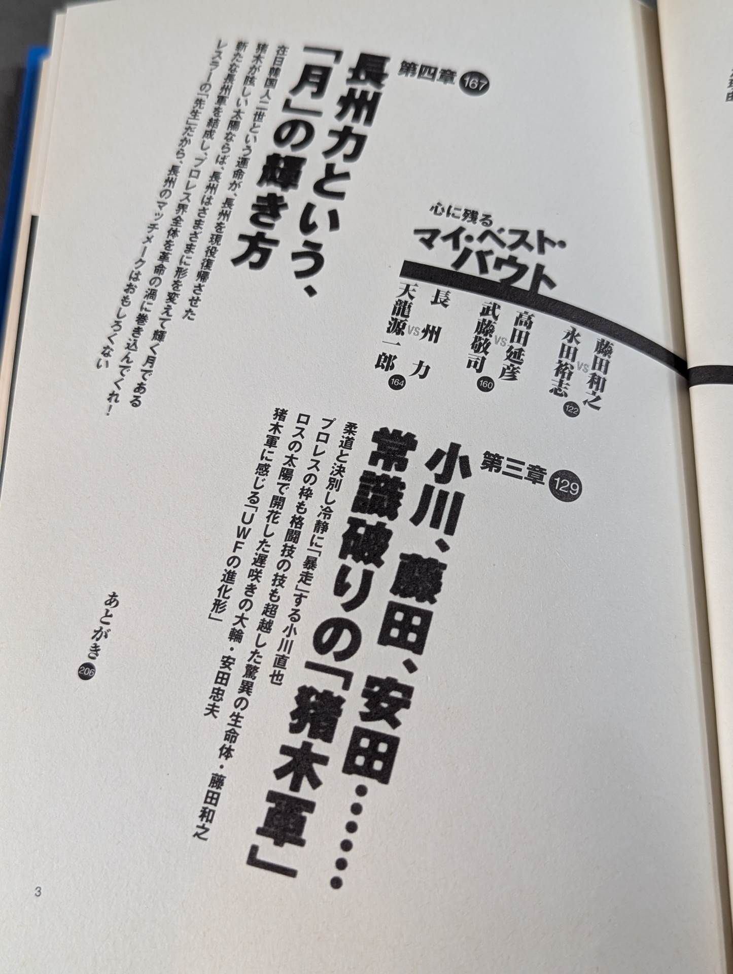 プロレス裏実況 何が起こってもおかしくない!