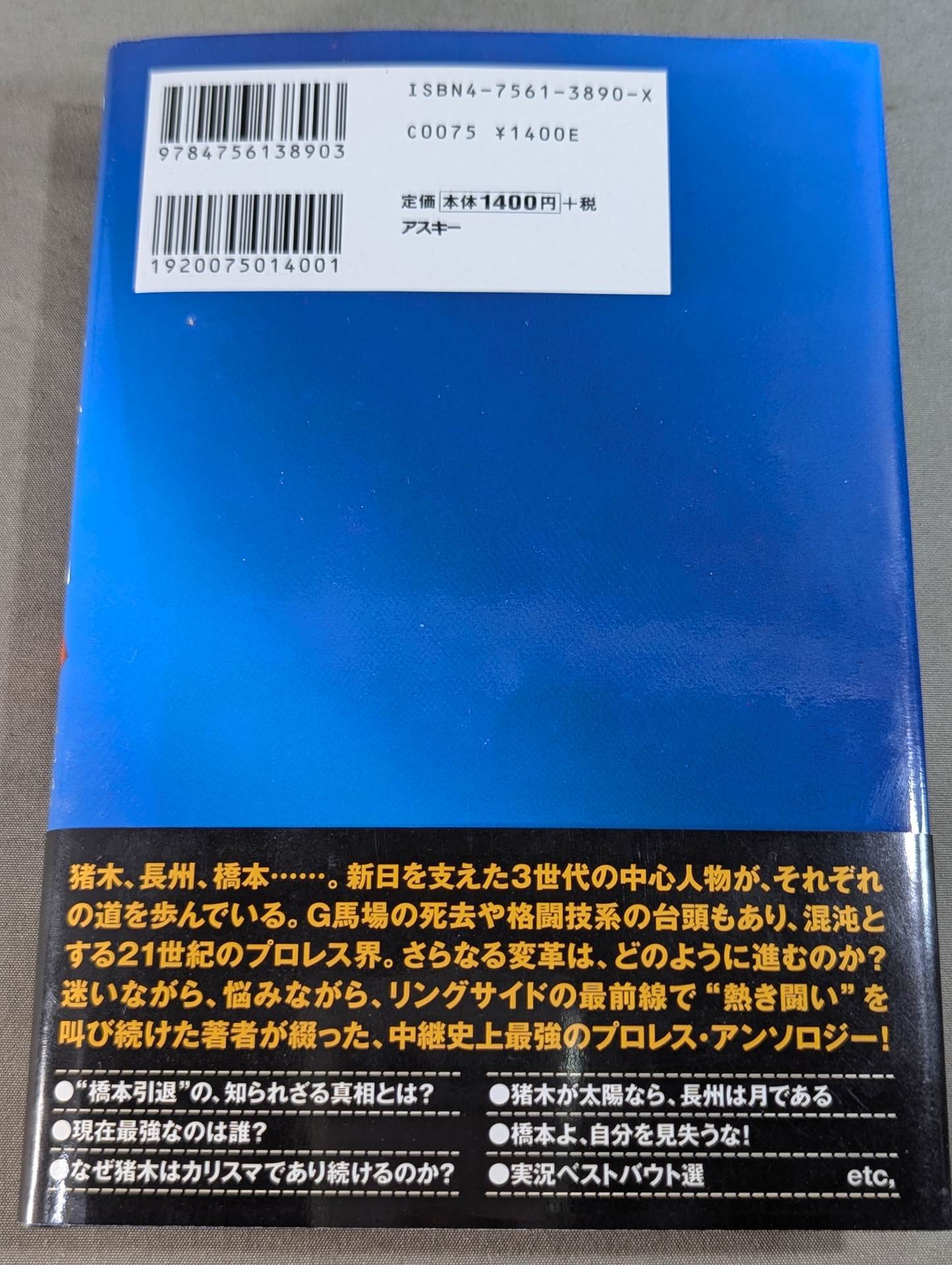 プロレス裏実況 何が起こってもおかしくない!