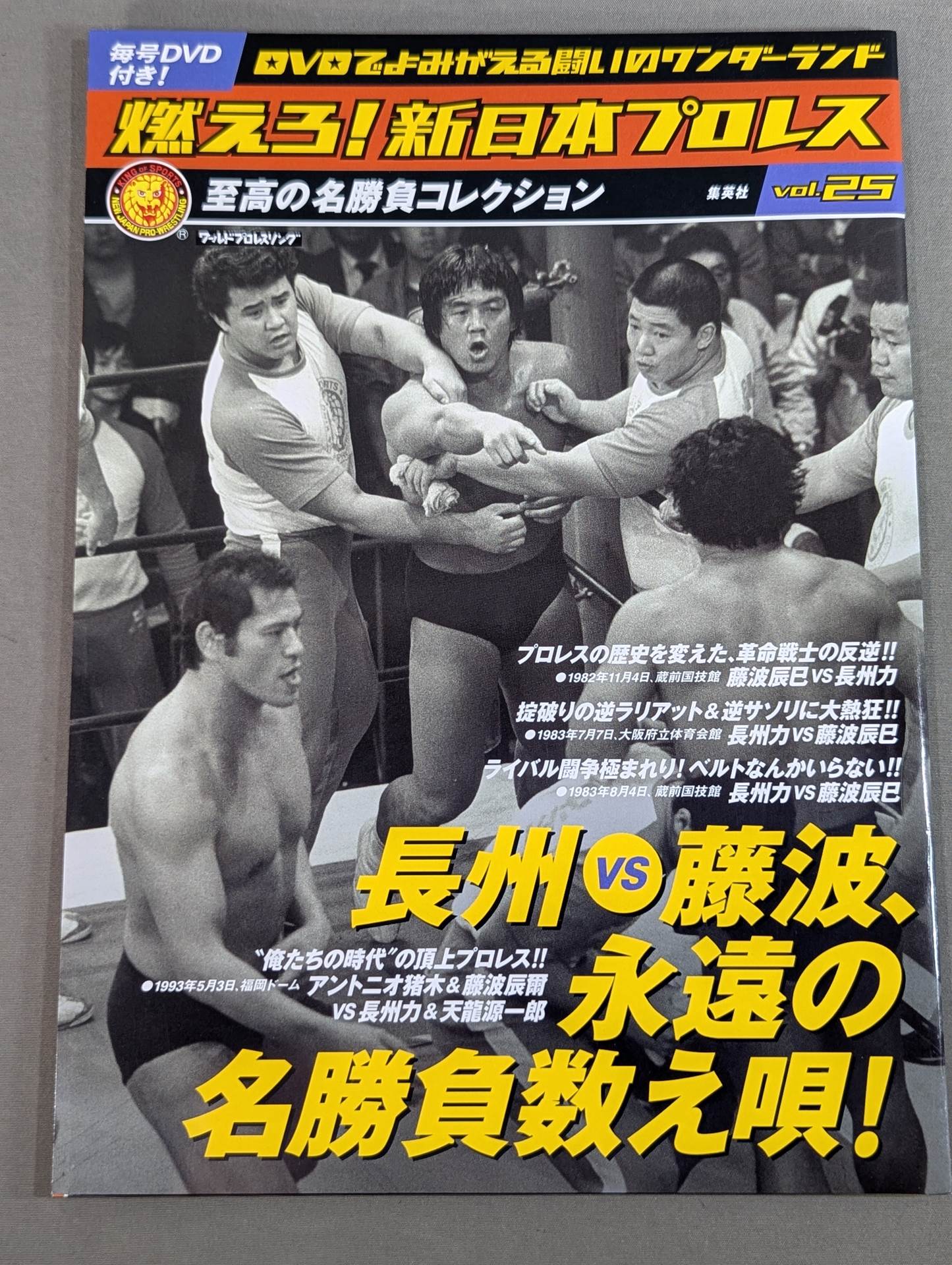燃えろ!新日本プロレス vol.25 – 闘道館