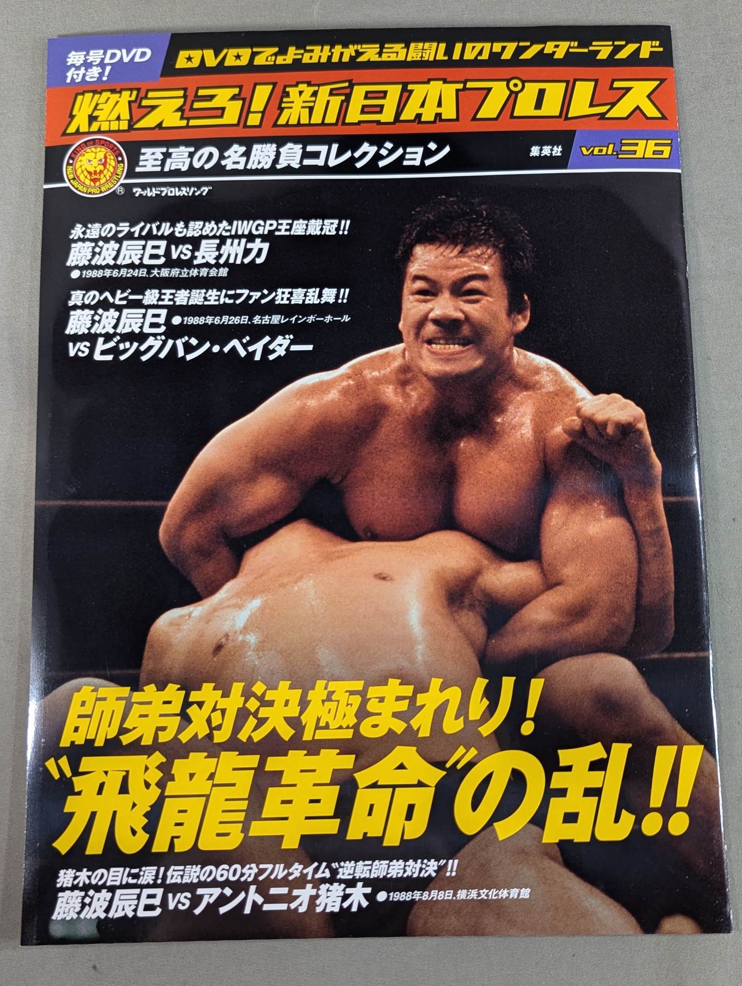 燃えろ!新日本プロレス vol.65 – 闘道館