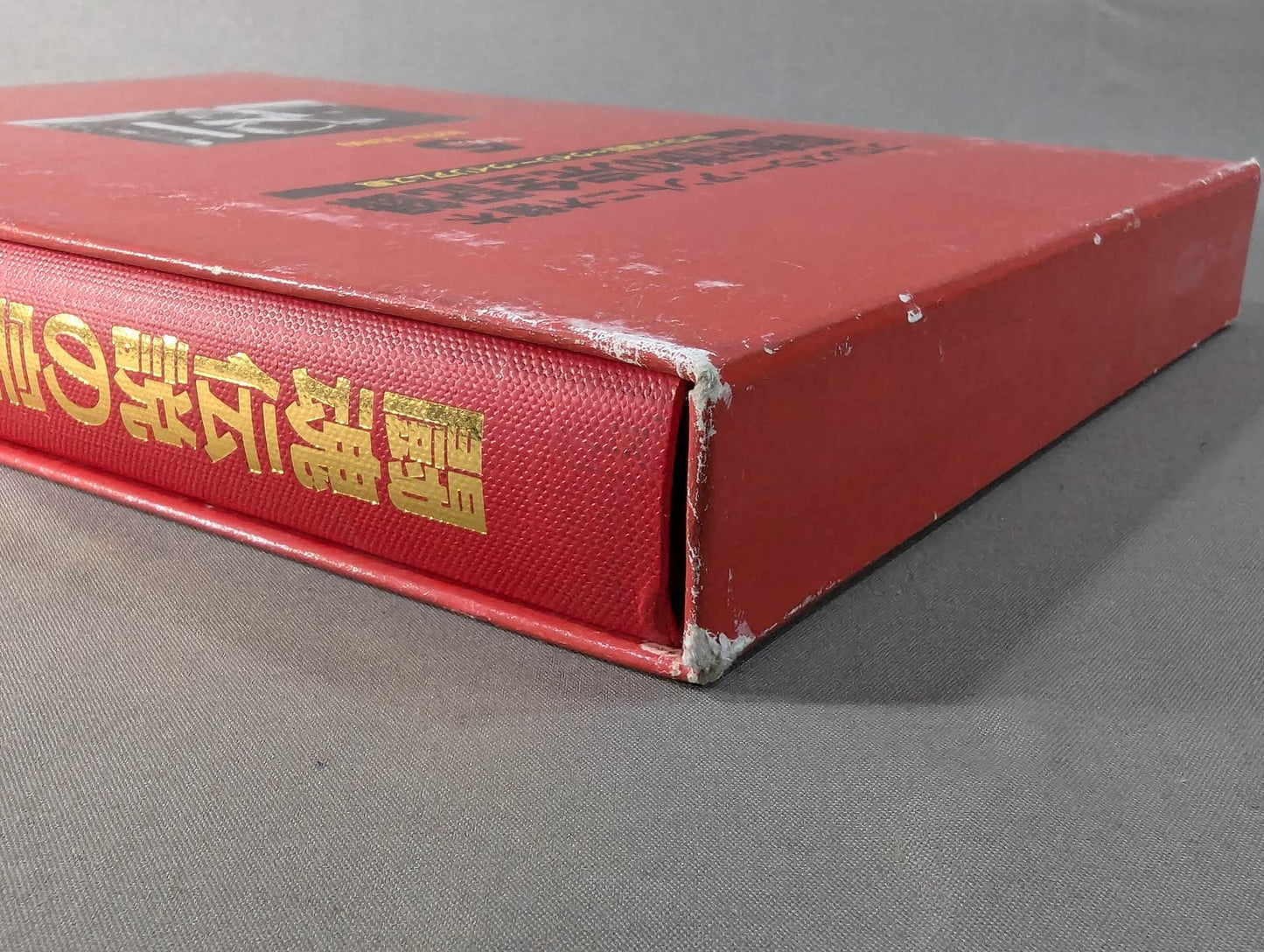 The Complete Record of the Legend of the Fighting Spirit Vol.5 European Tour ~ Willie Williams Battle 1978-1980