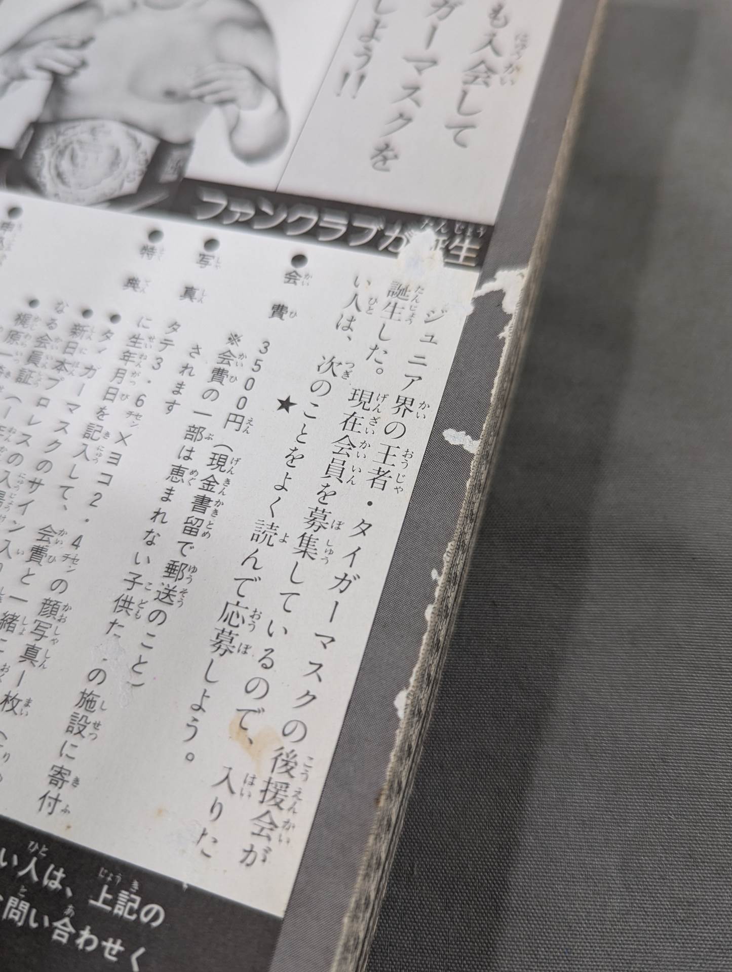 Tiger Mask Encyclopedia All about champion and tiger mask