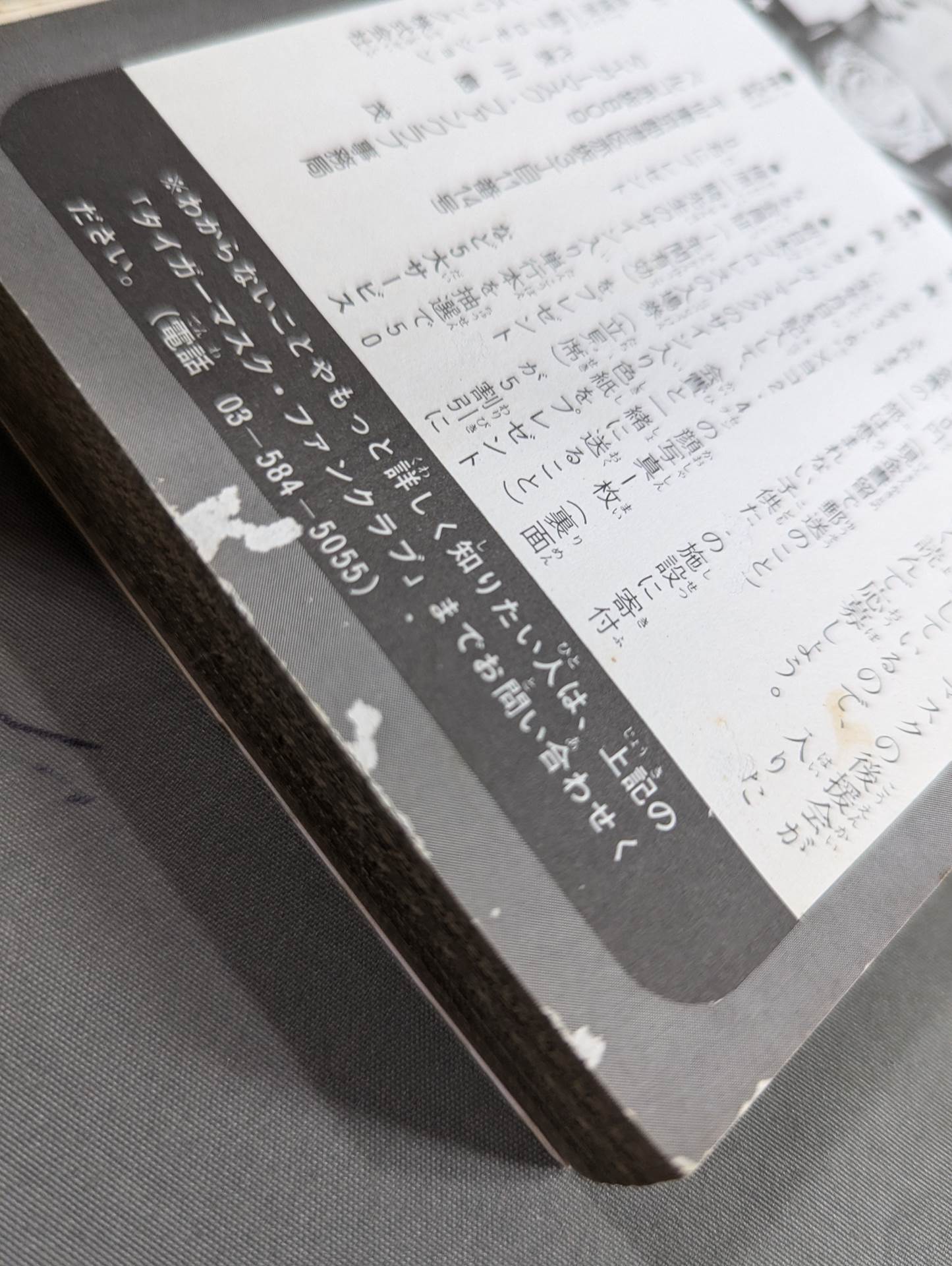 Tiger Mask Encyclopedia All about champion and tiger mask