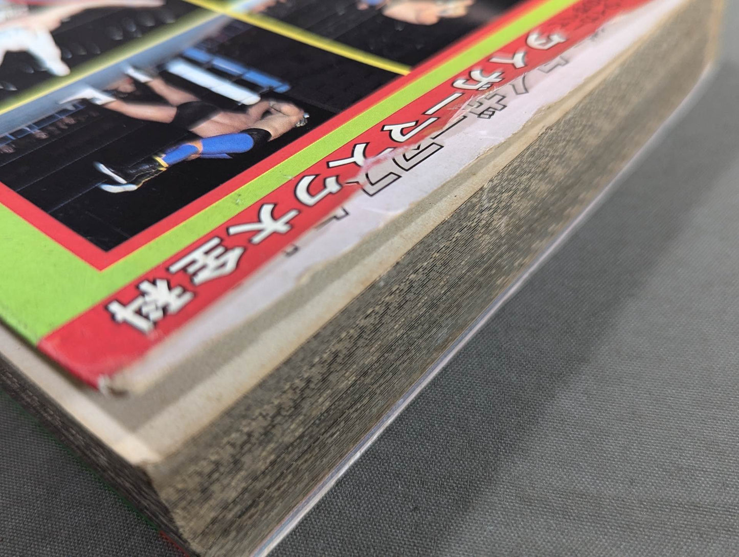 Tiger Mask Encyclopedia All about champion and tiger mask