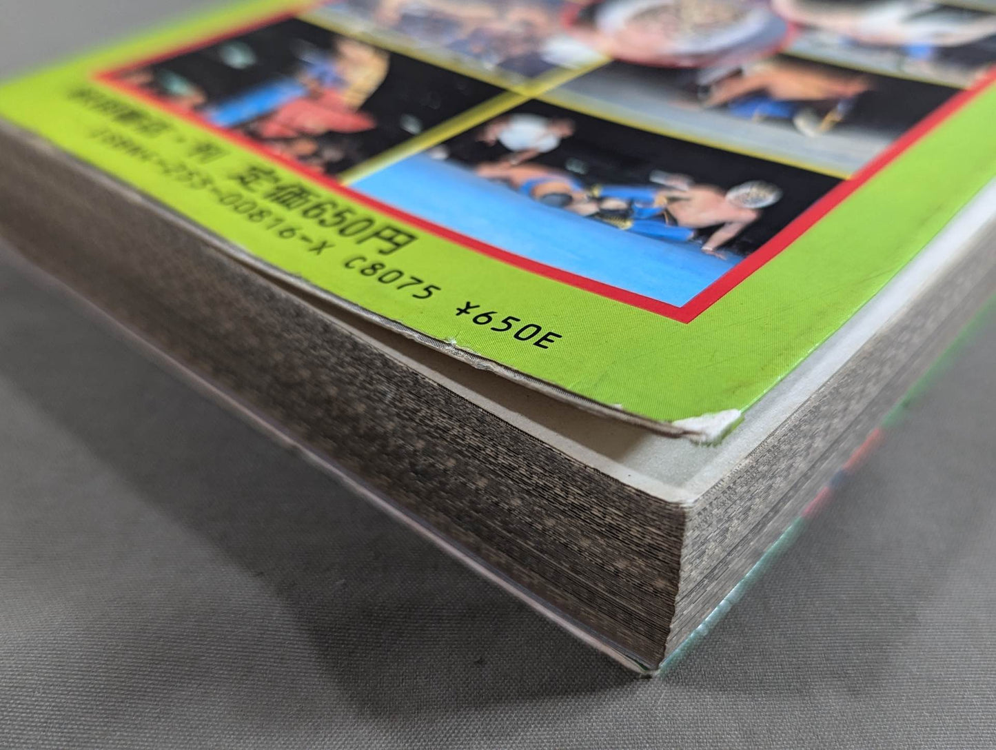 Tiger Mask Encyclopedia All about champion and tiger mask