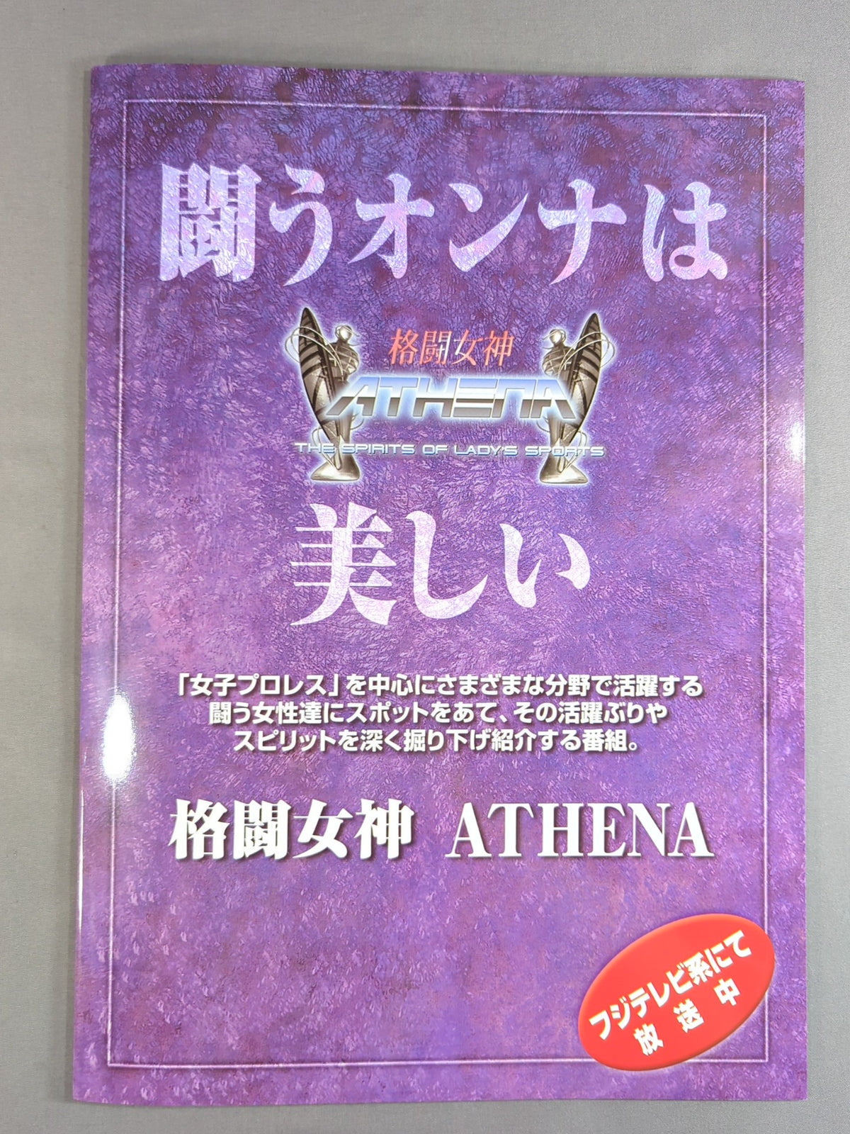 Ringstar PROGRAM / All Japan Women\'s move'99→JAPAN GRAND PRIX '99