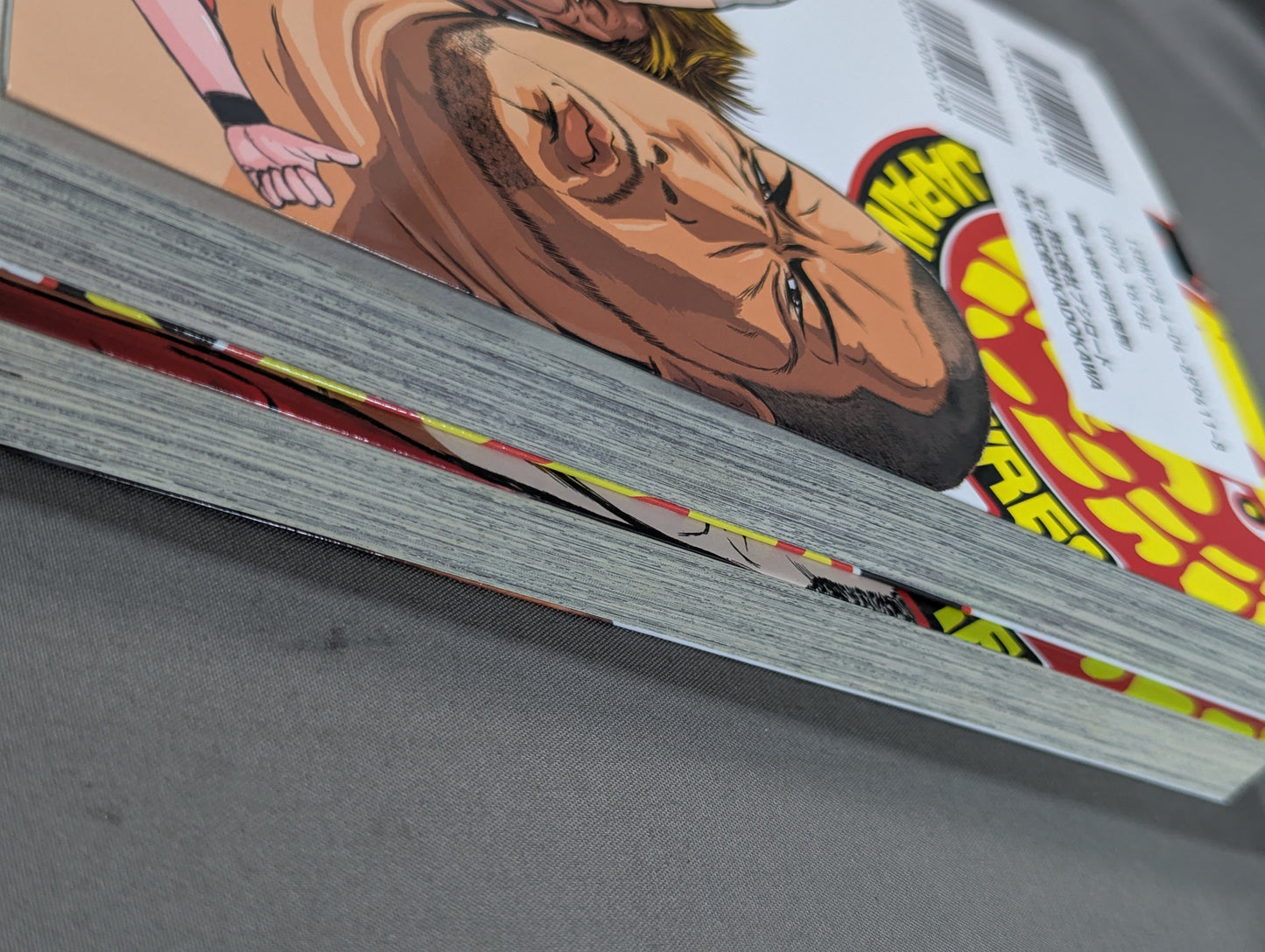 【全2巻セット】ファイヤーレオン 新日本プロレス篇