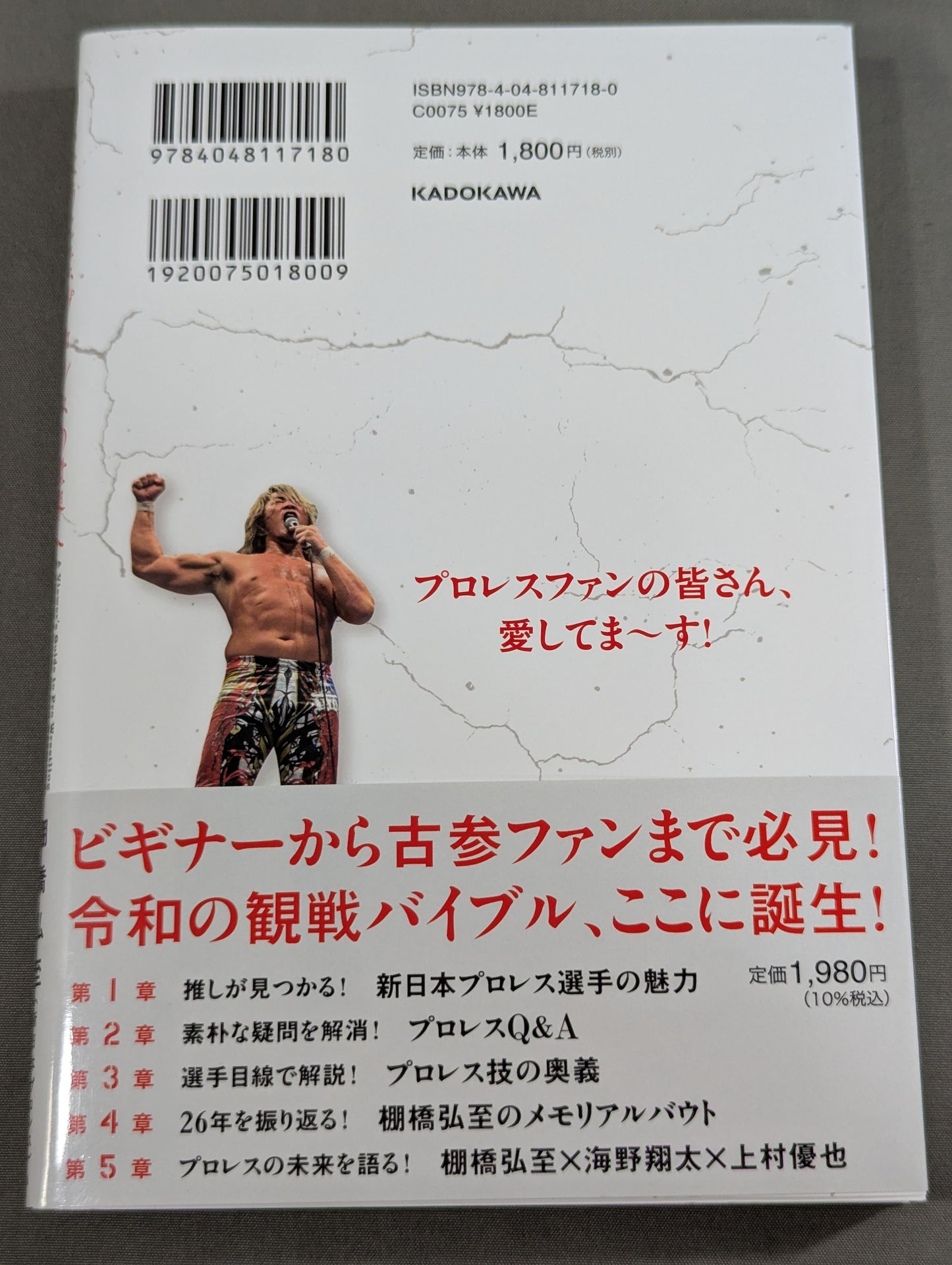 ようこそ、プロレスの世界へ 棚橋弘至のプロレス観戦入門