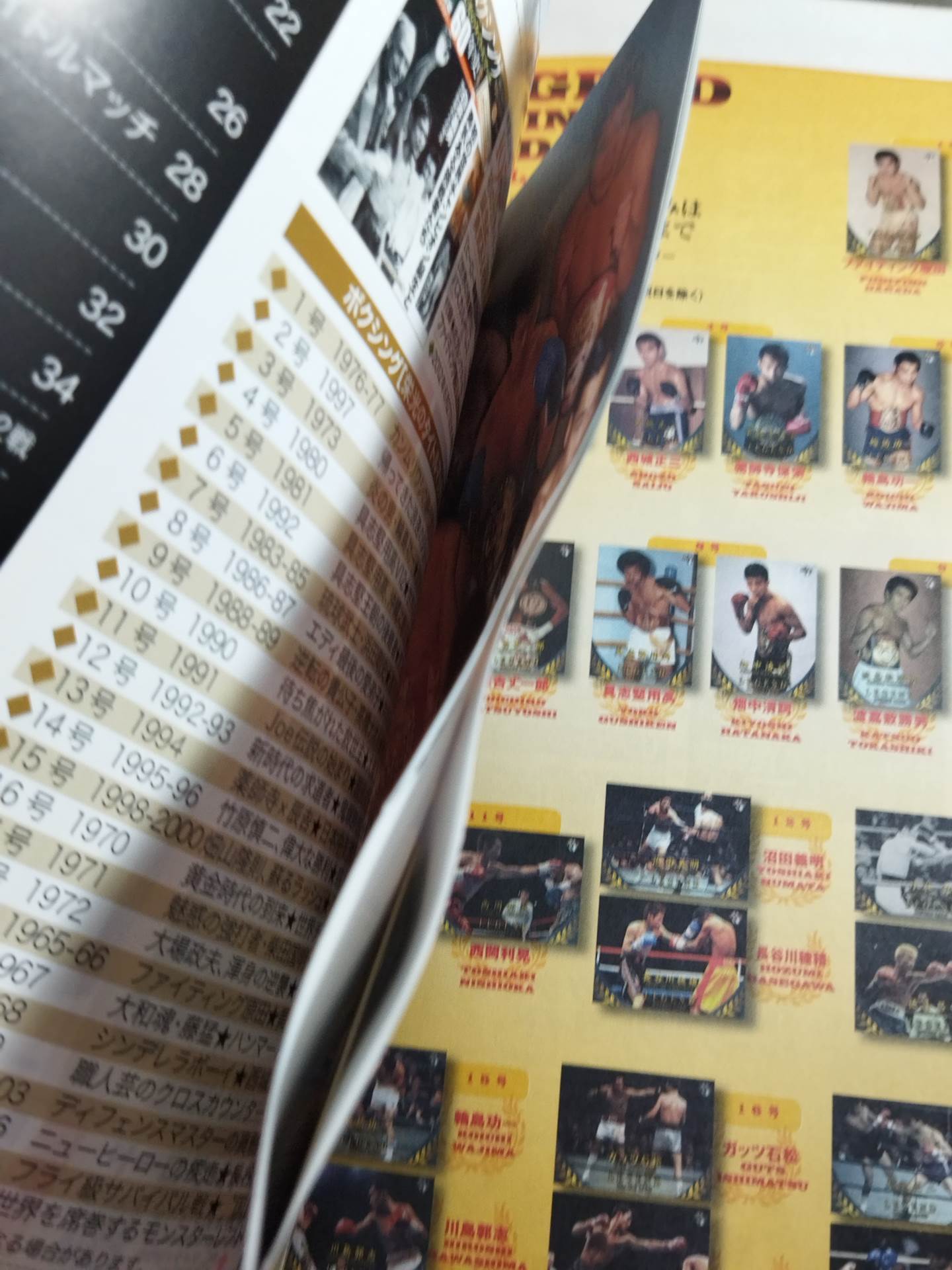 ボクシング栄光のタイトルマッチ60年史 (19)