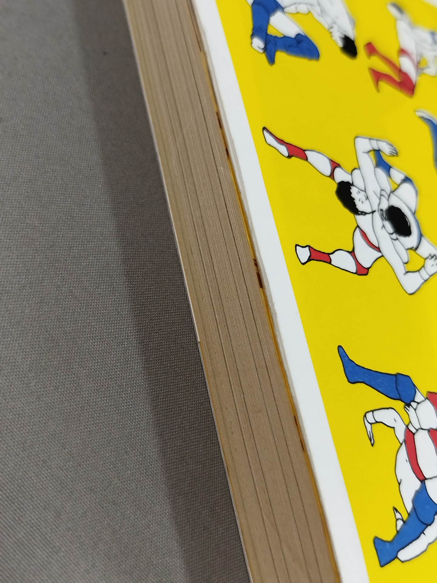 プロレス語辞典 プロレスにまつわる言葉をイラストと豆知識で元気に読み解く