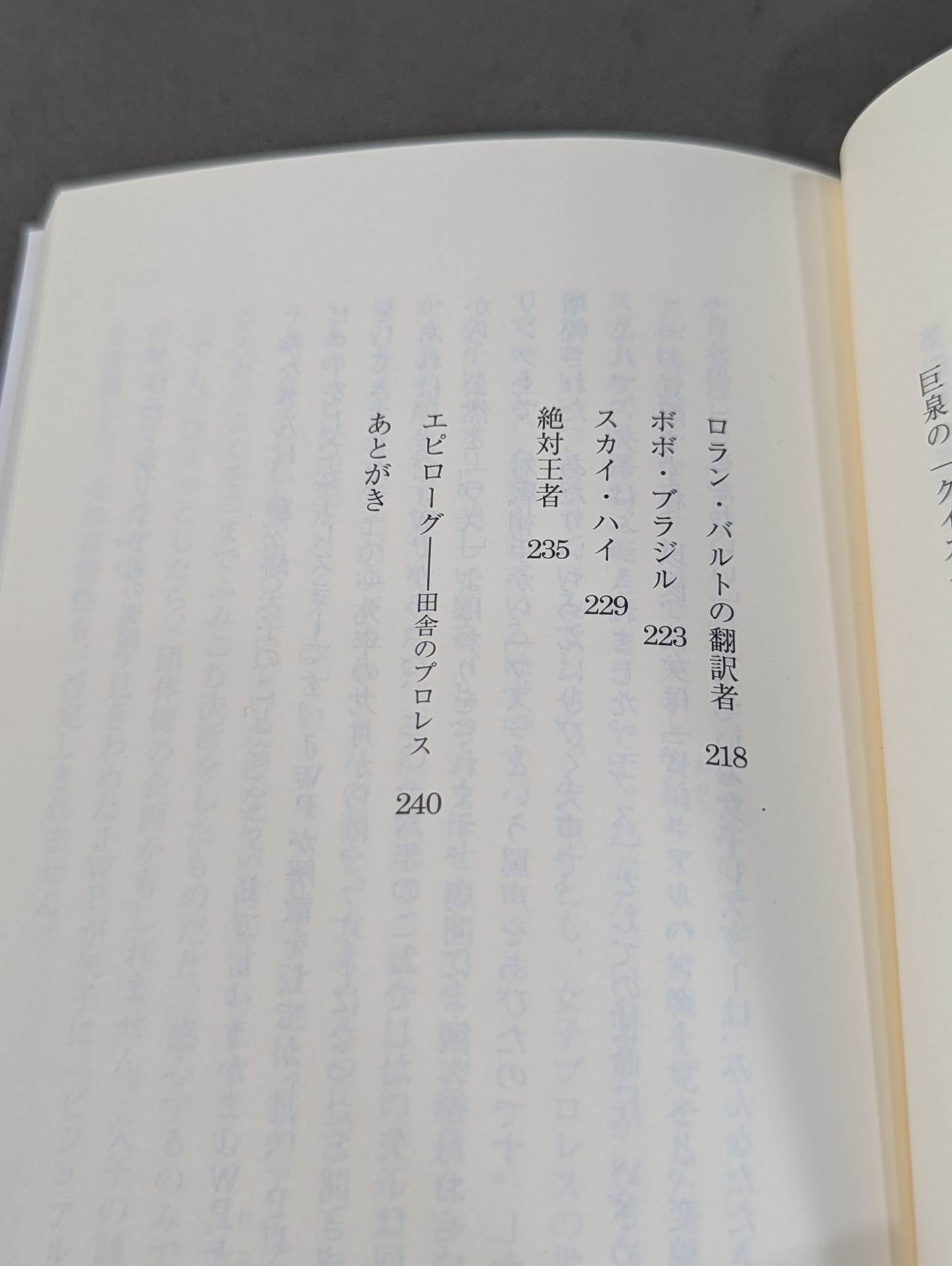 プロレスまみれ