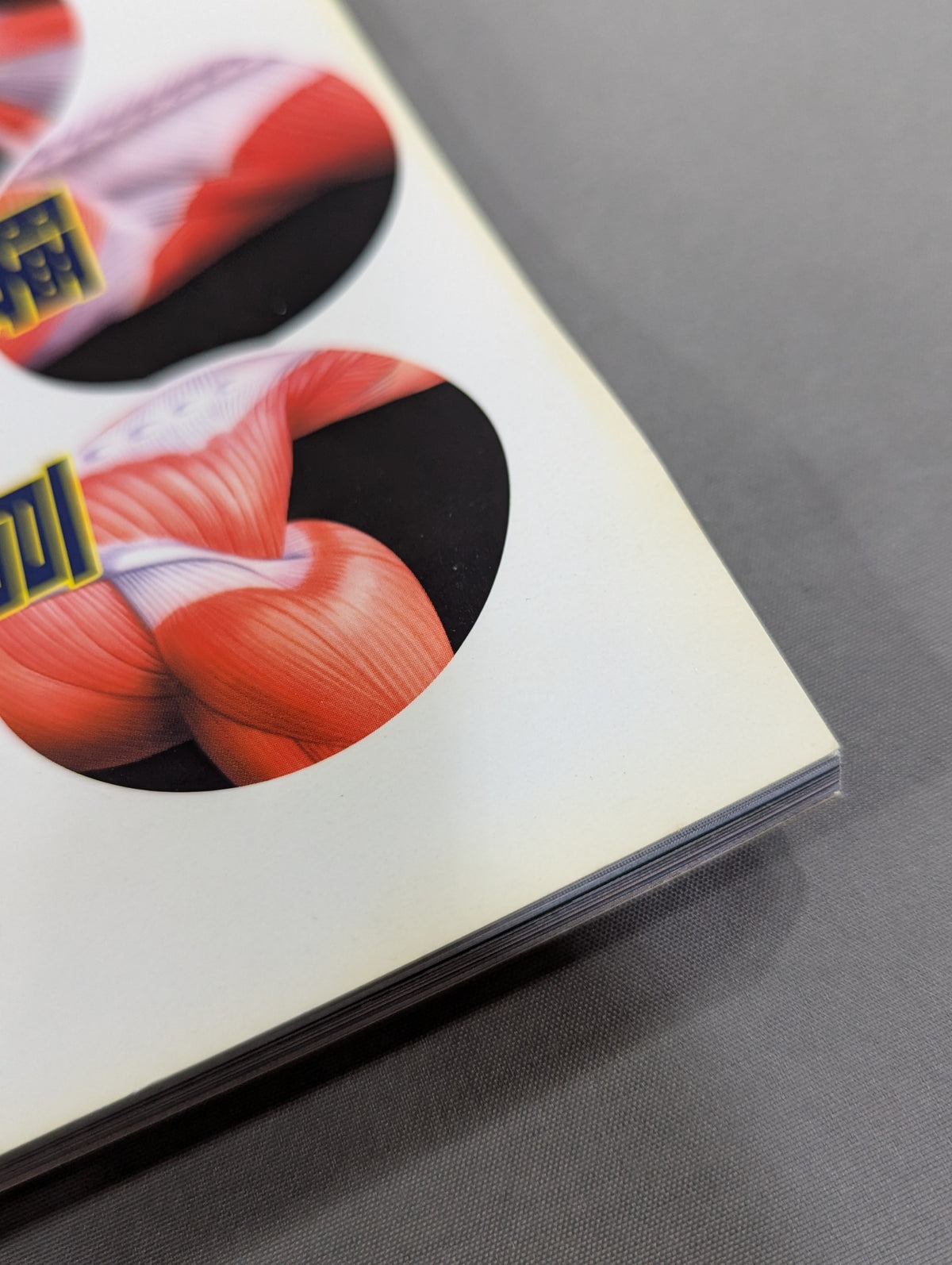 Women's Pro Wrestling 60 Years History From Mach Wenju to Beauty Pairs, Crush Gals ... 60 Years of Women's Pro Wrestling