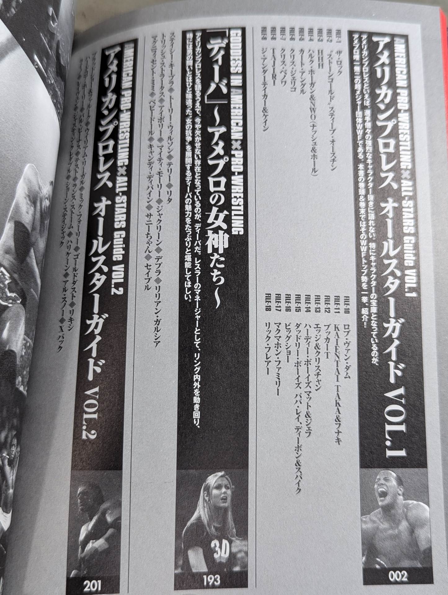 まるごとわかる アメリカンプロレス