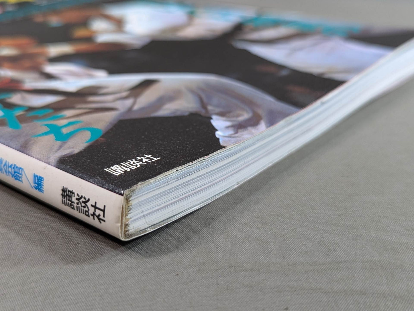 Kyokushin KARATE Yearbook No. 5 Habatake Kyokushin's new flag bearers