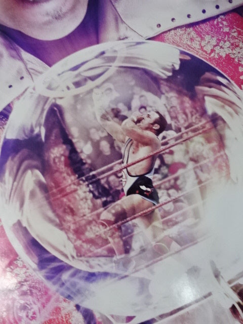 ROYAL RUMBLE 2011 PPVフルサイズポスター